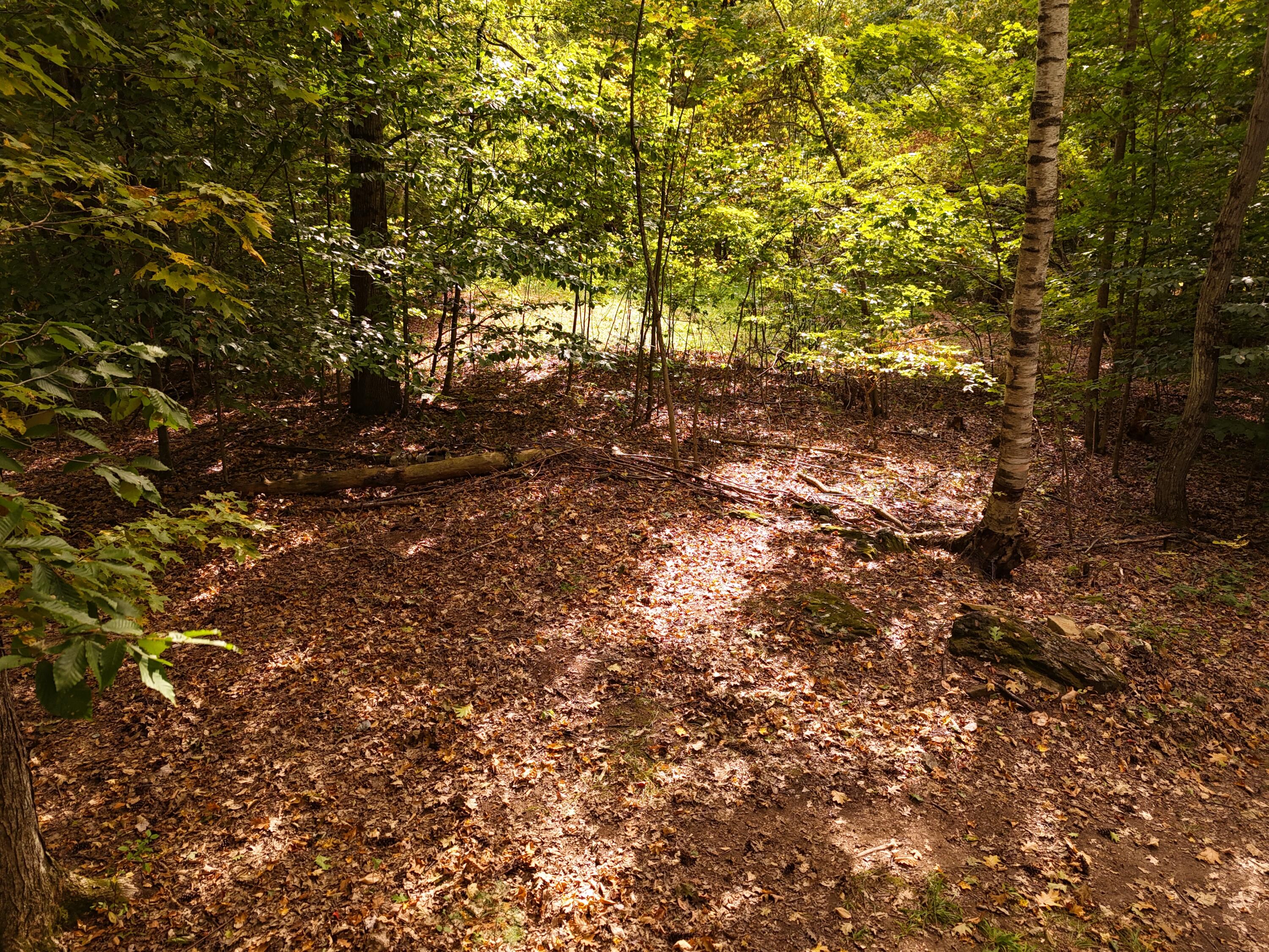 22 Community Drive Property Photo 11