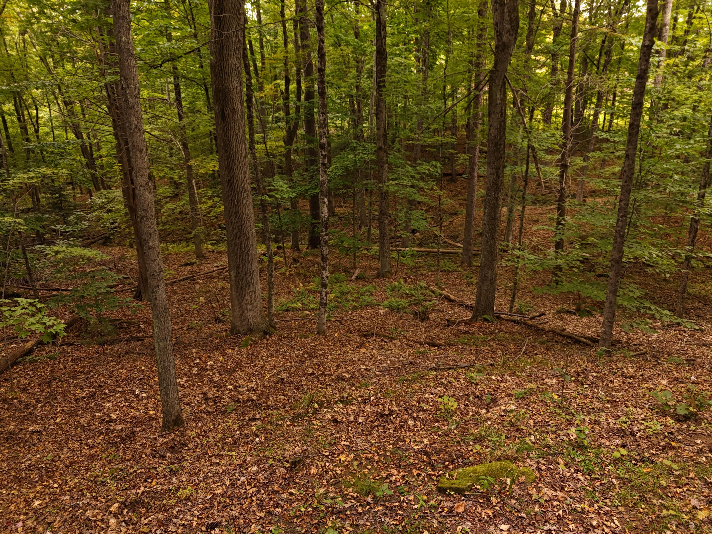 22 Community Drive Property Photo 12