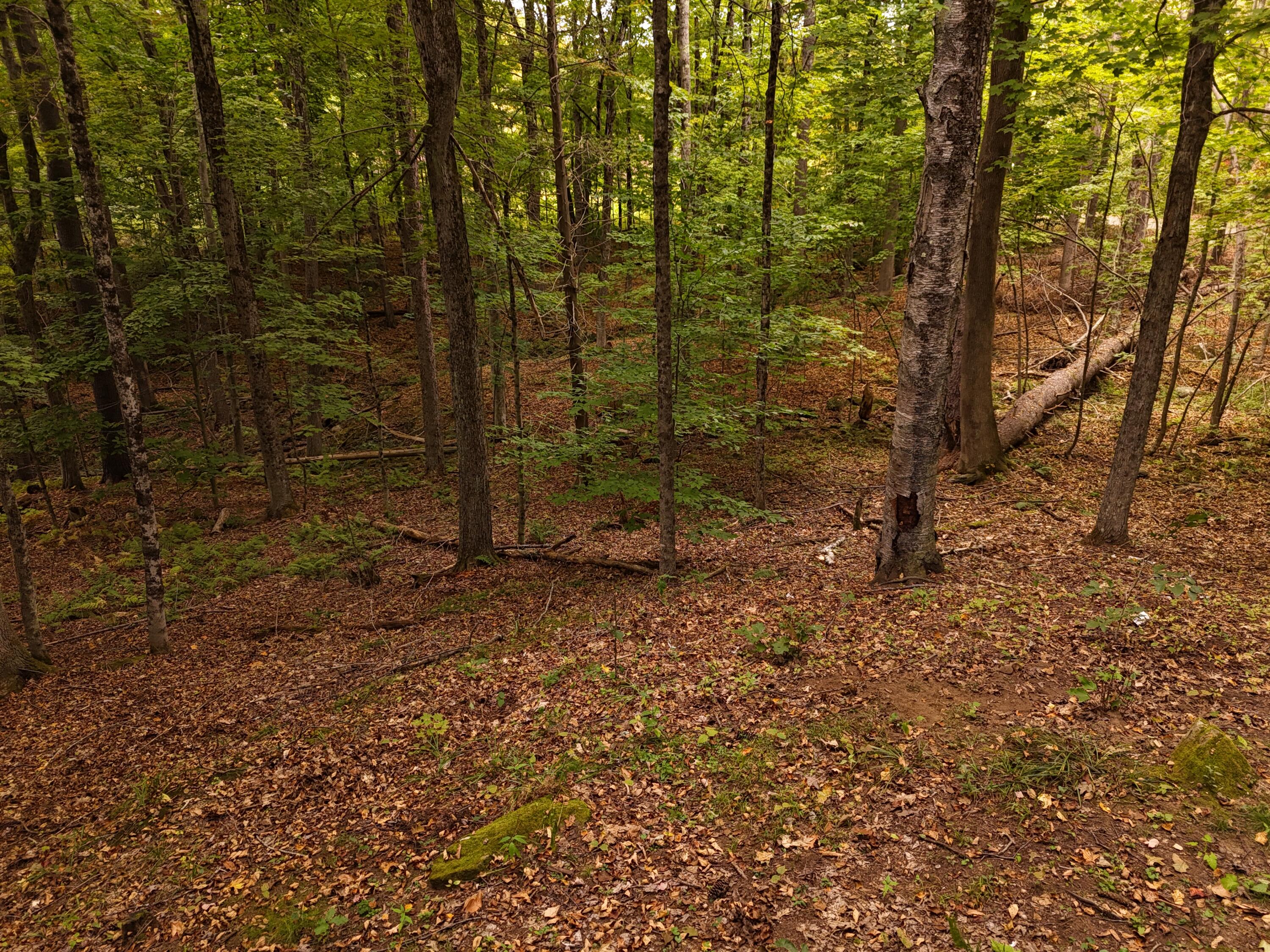 22 Community Drive Property Photo 13