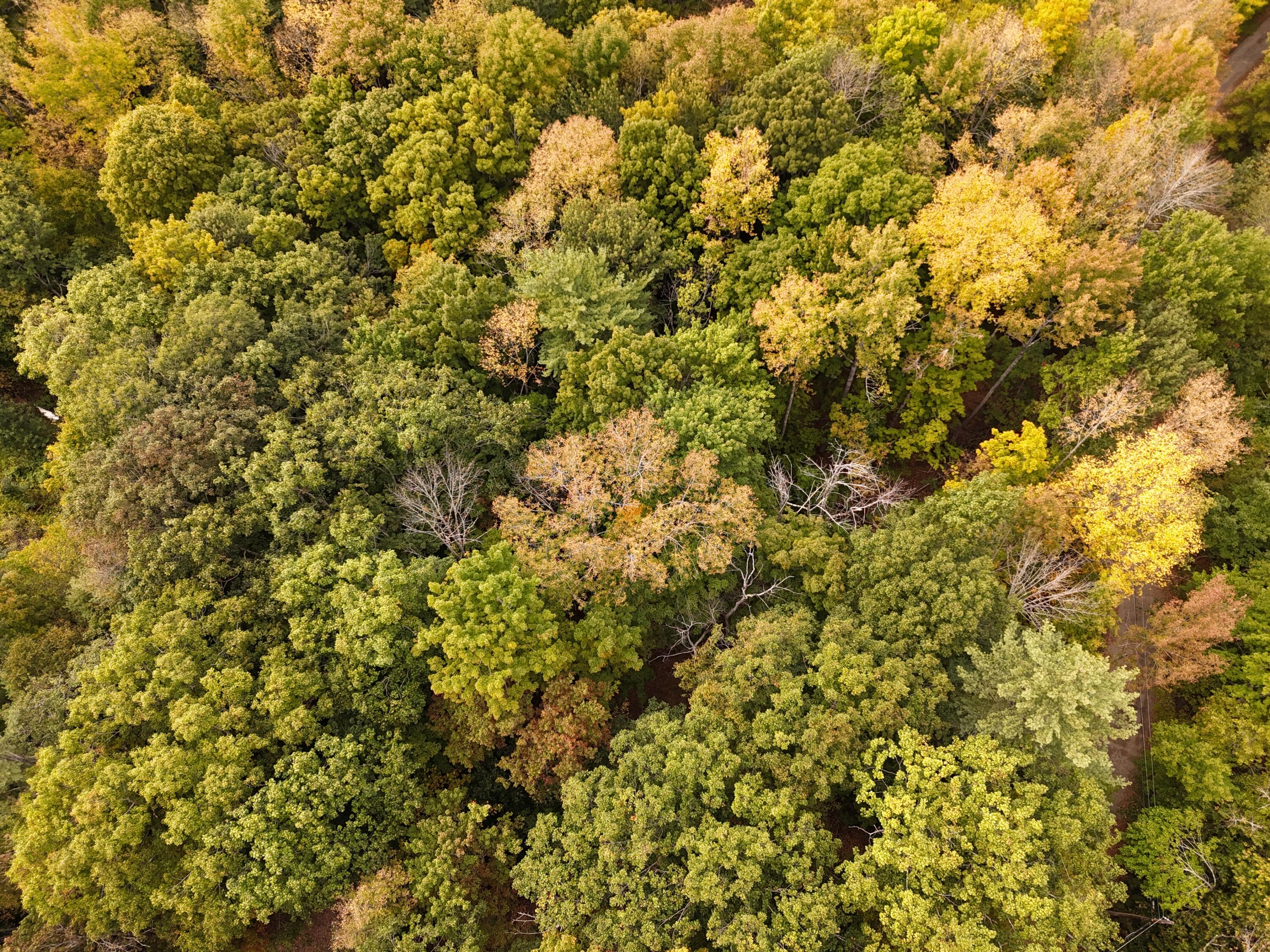 22 Community Drive Property Photo 15