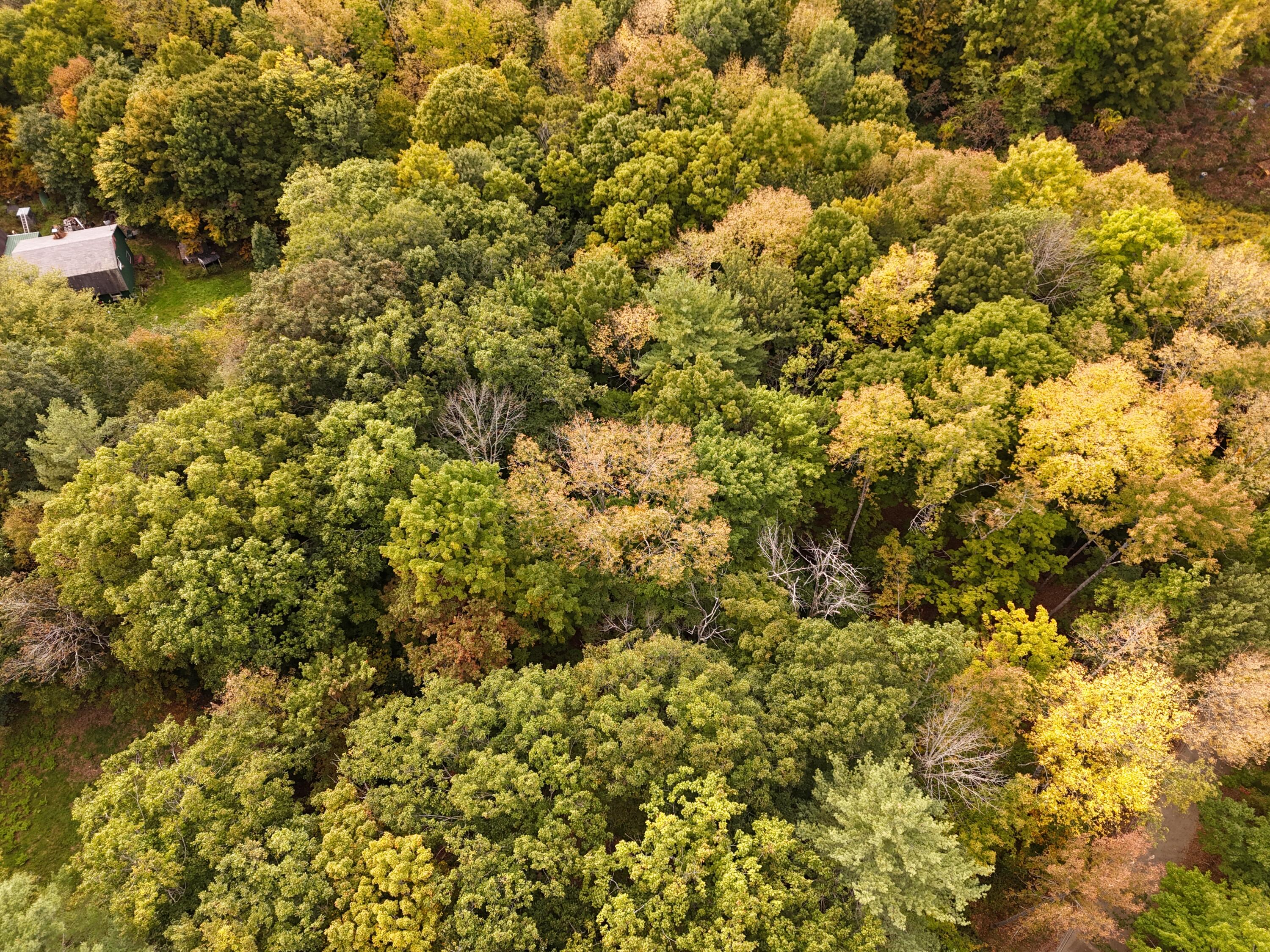 22 Community Drive Property Photo 16