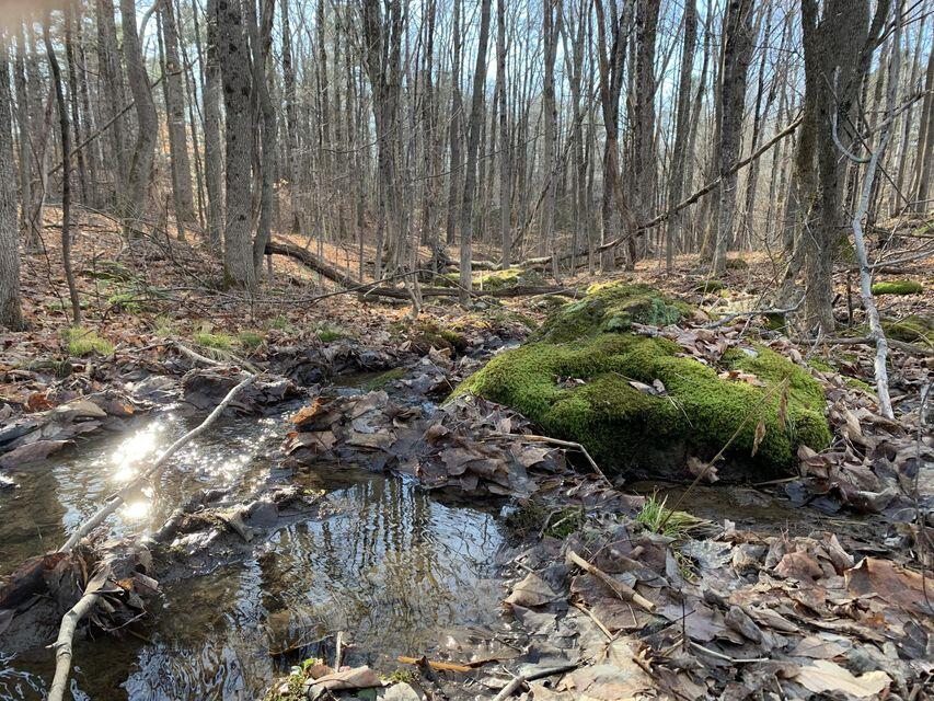 22 Community Drive Property Photo 17