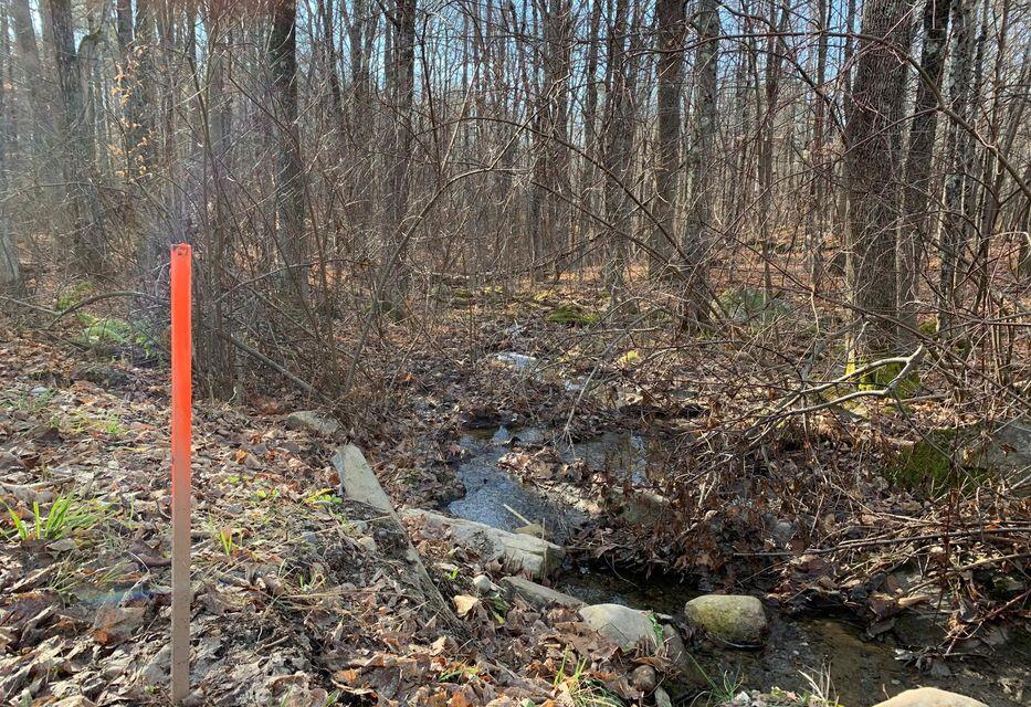 22 Community Drive Property Photo 20