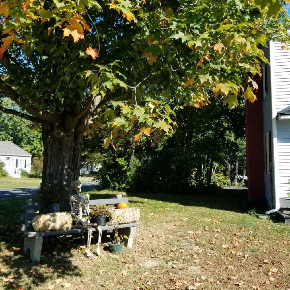 55 Elmwood Avenue Property Photo 7
