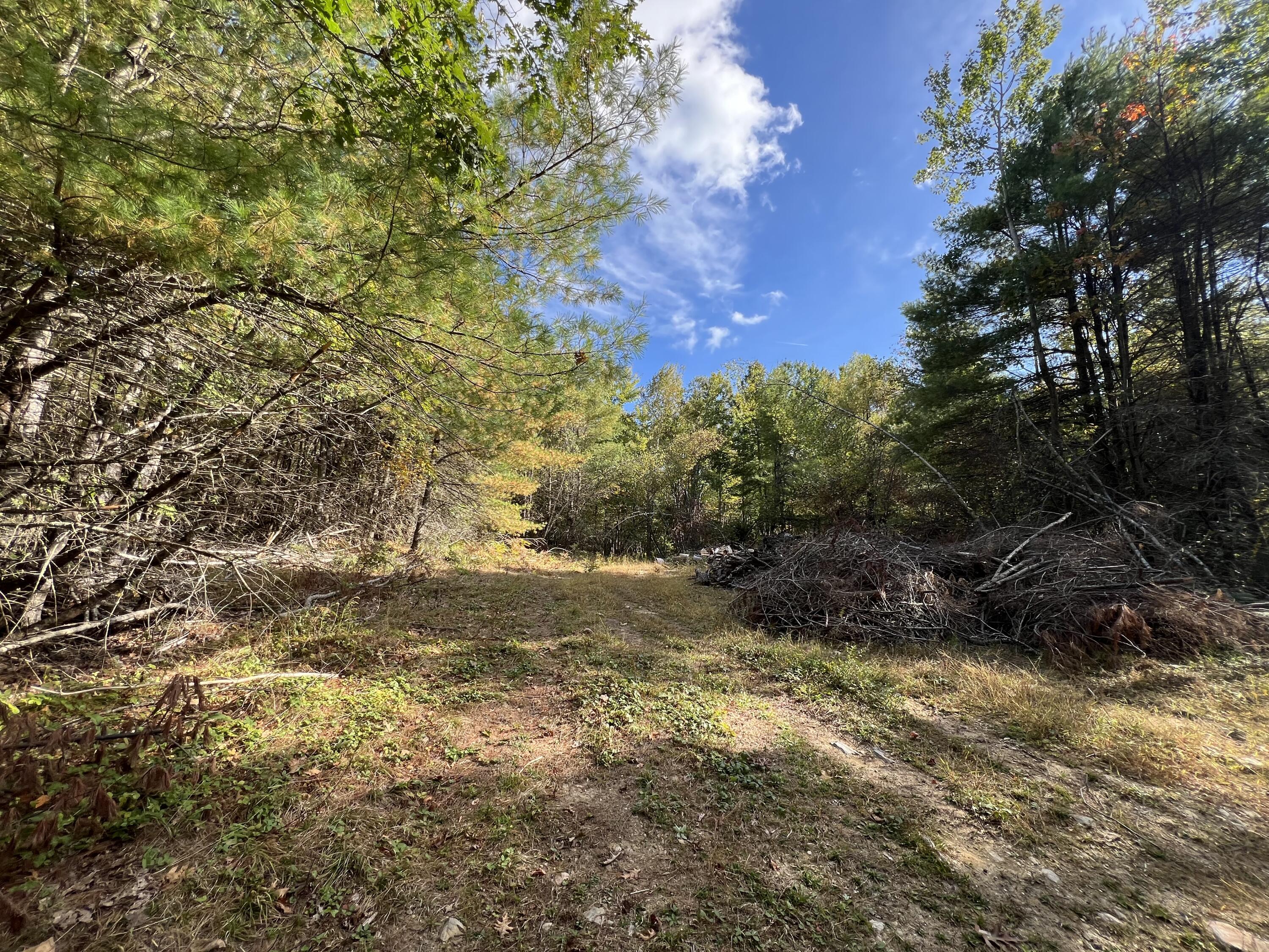170 Cram Road Property Photo 3