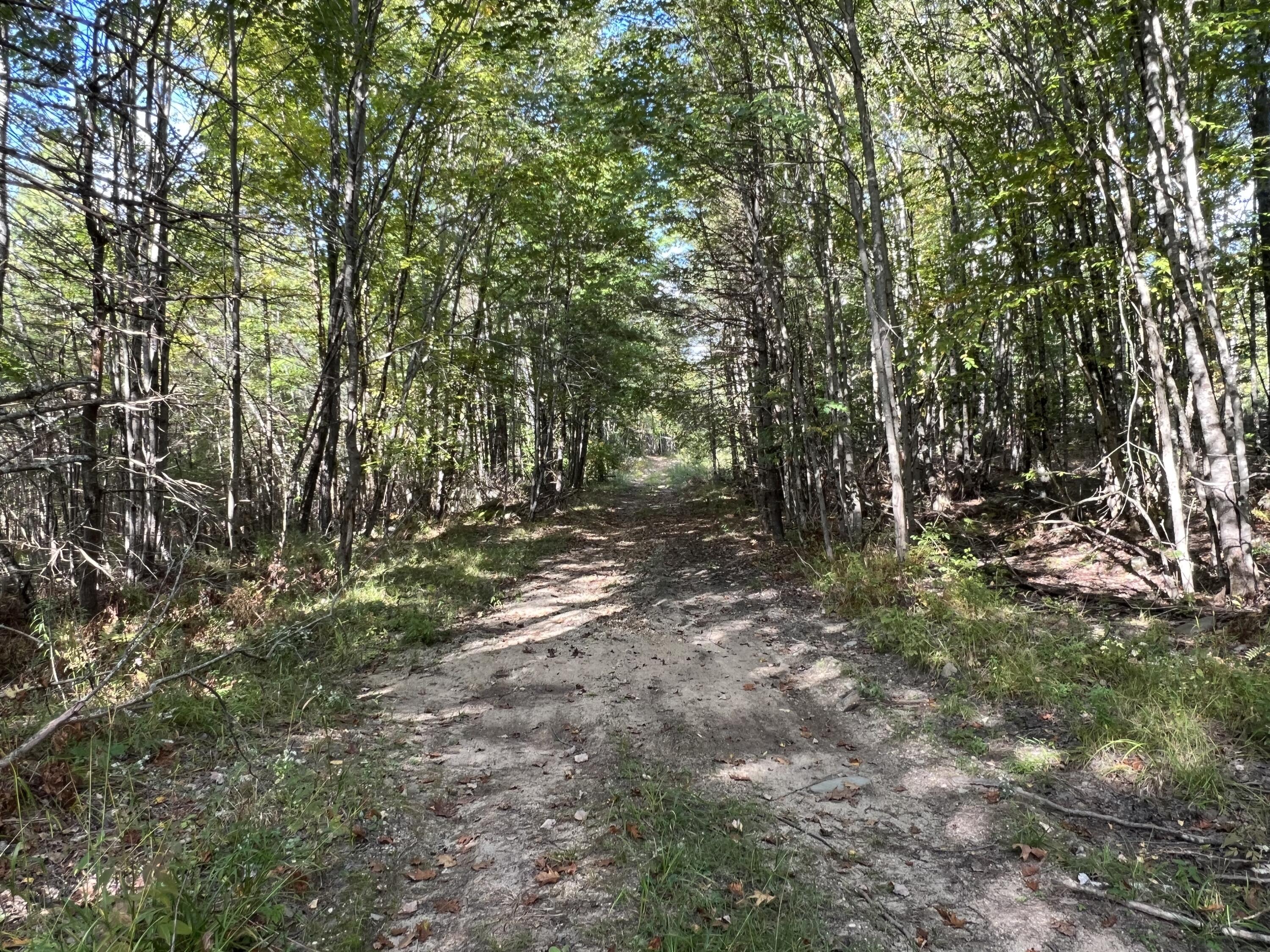 170 Cram Road Property Photo 4