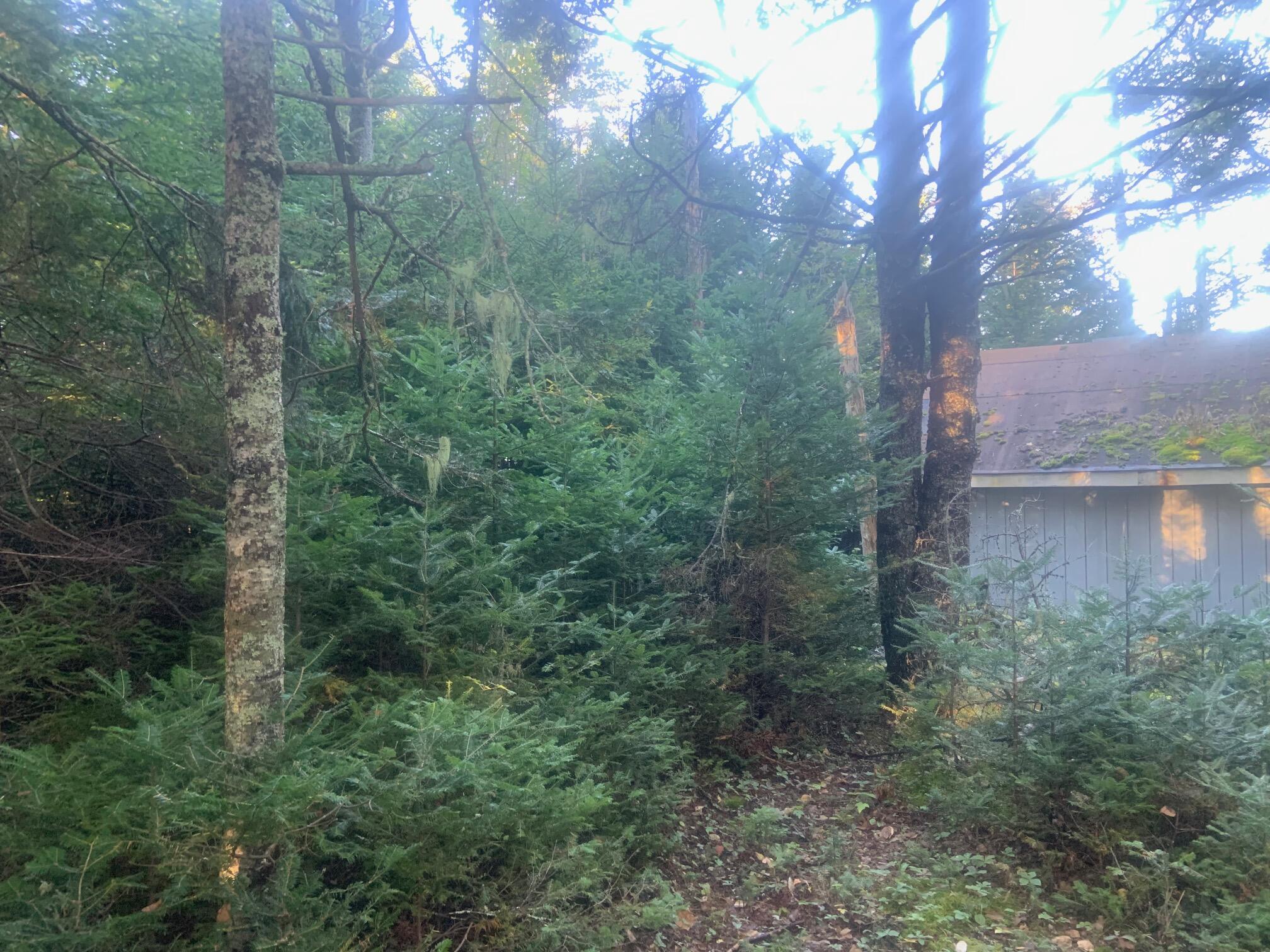 012 Paul Bunyan Road Property Photo 11