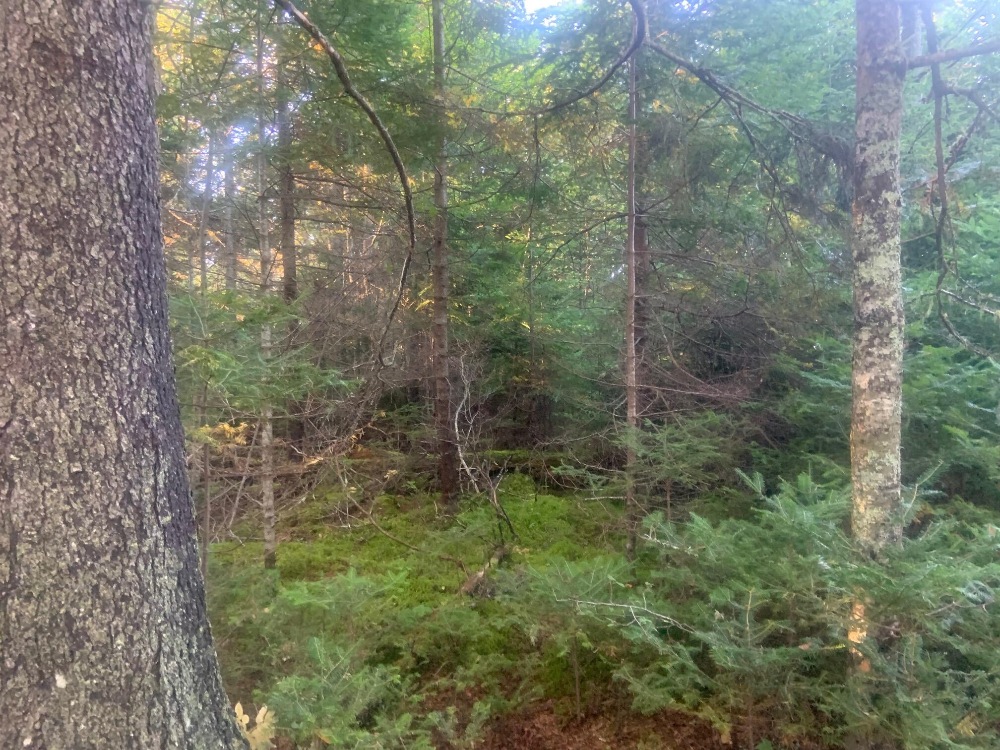012 Paul Bunyan Road Property Photo 15