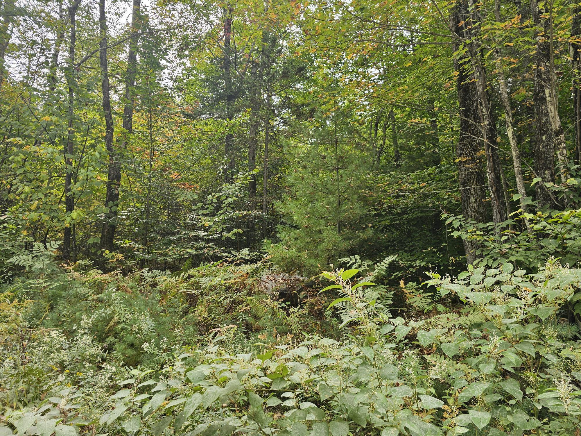 R19lot 6-6 Tuell Hill Road Property Photo 1