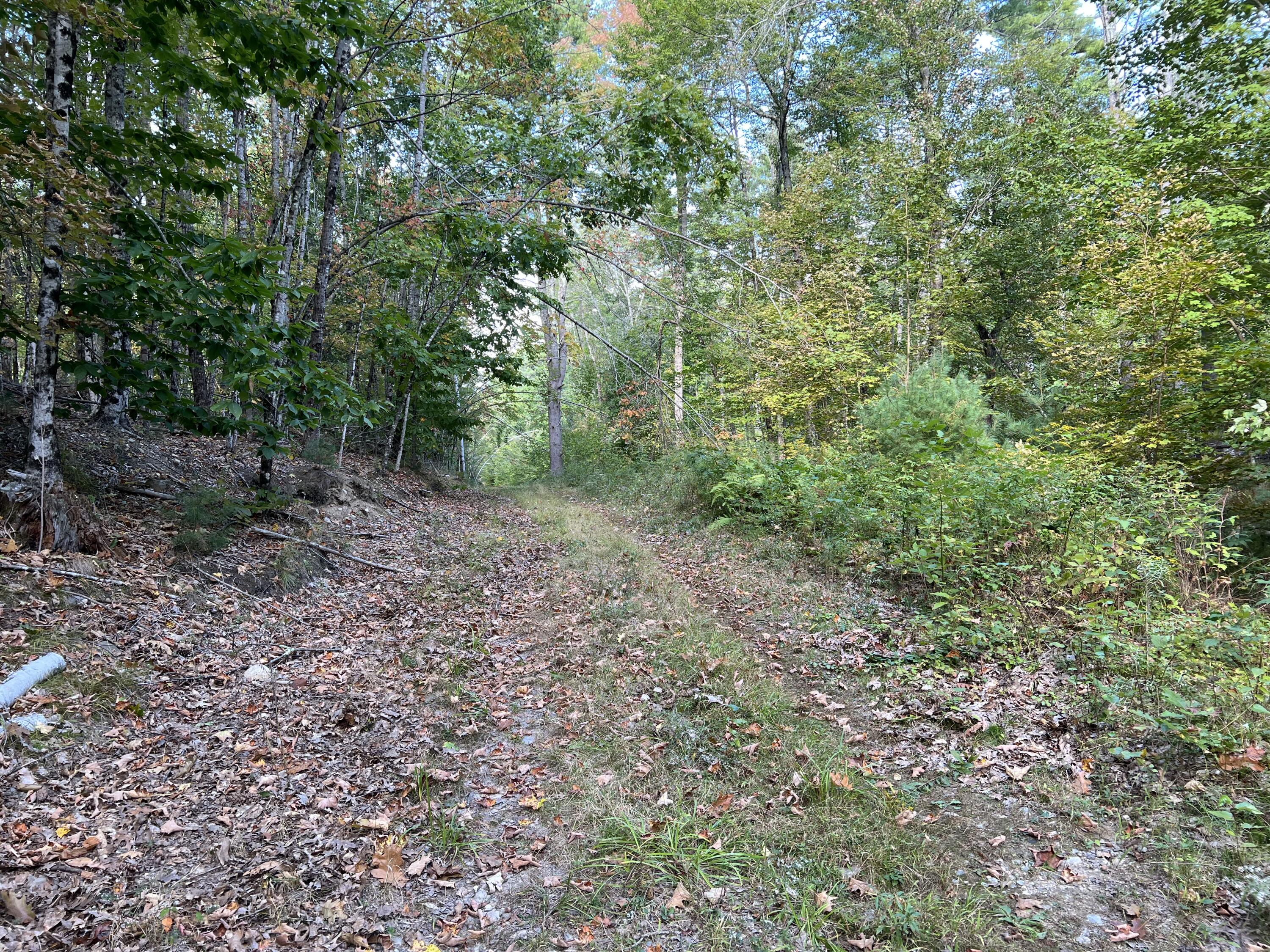 0 Cram Road Property Photo 10