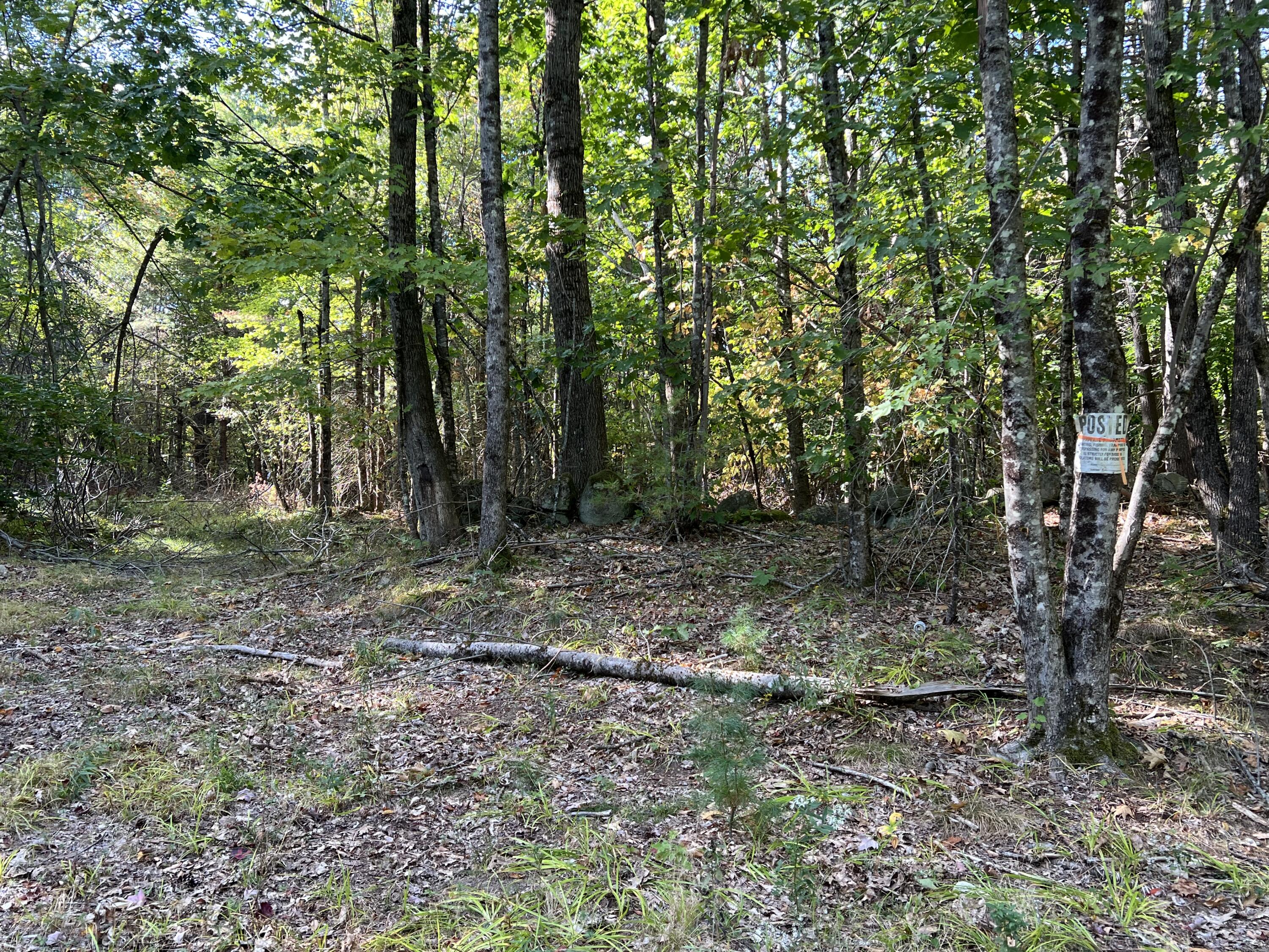 0 Cram Road Property Photo 13