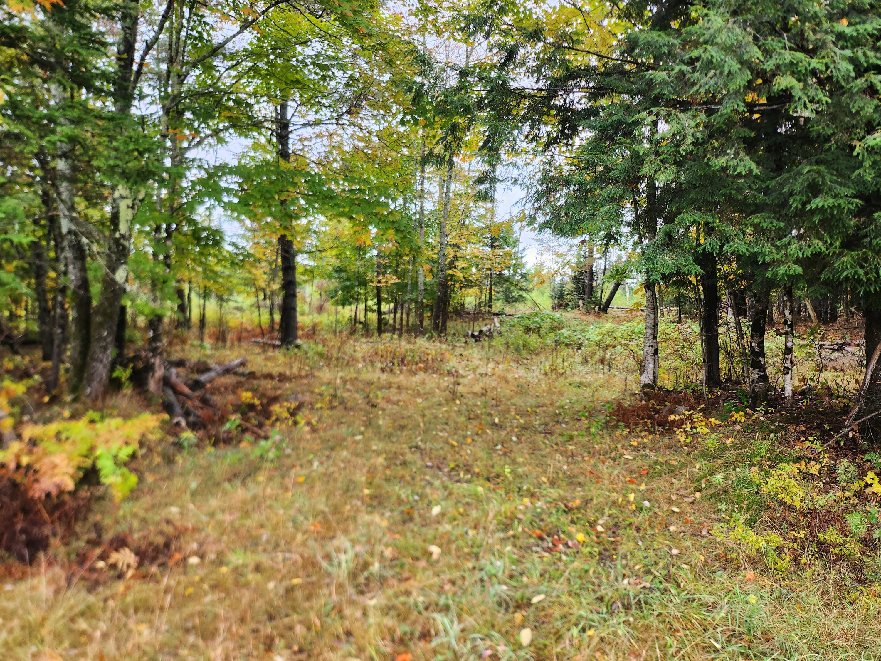 Lot 46 Lane Road Property Photo 1