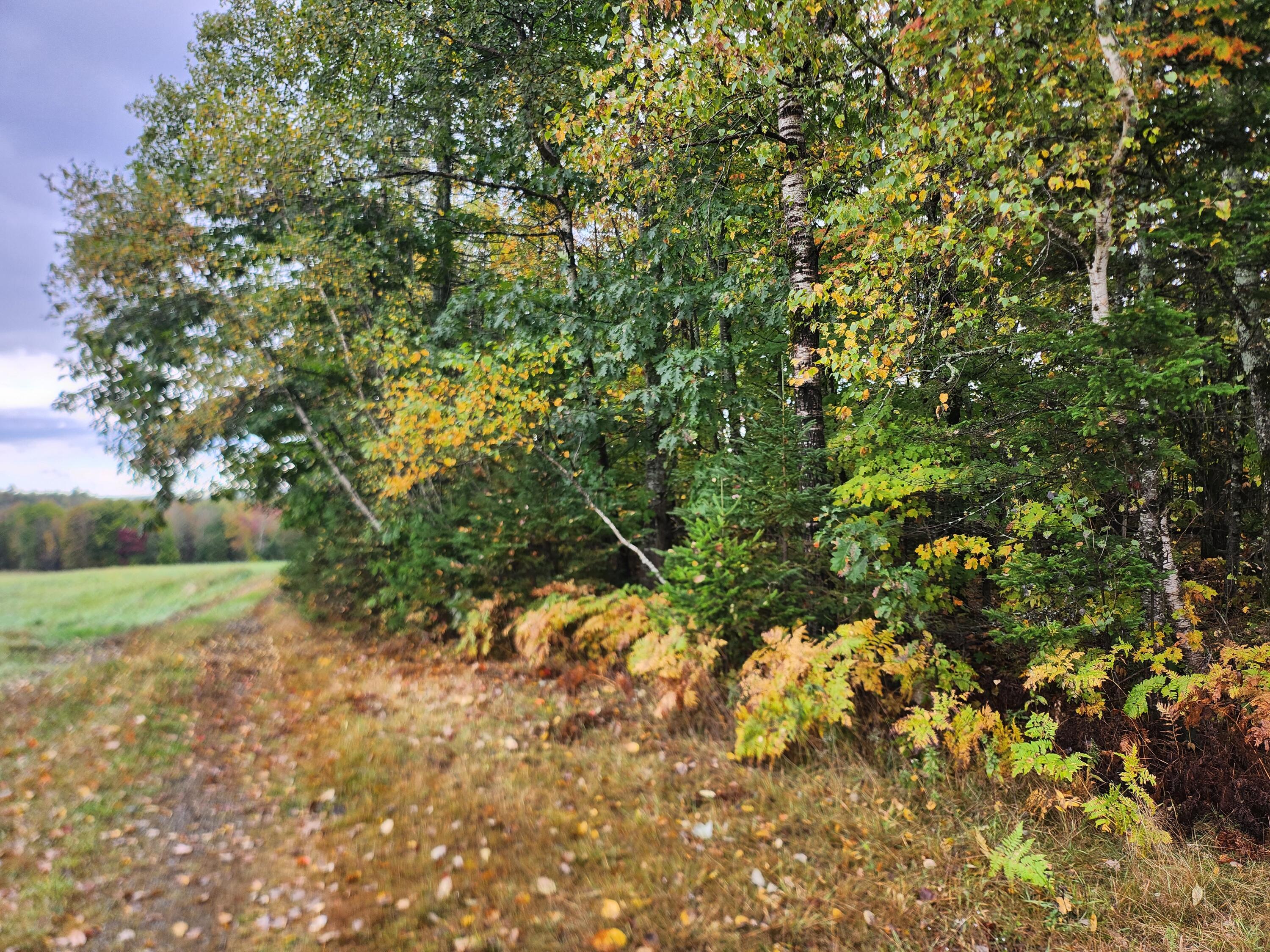 Lot 46 Lane Road Property Photo 2