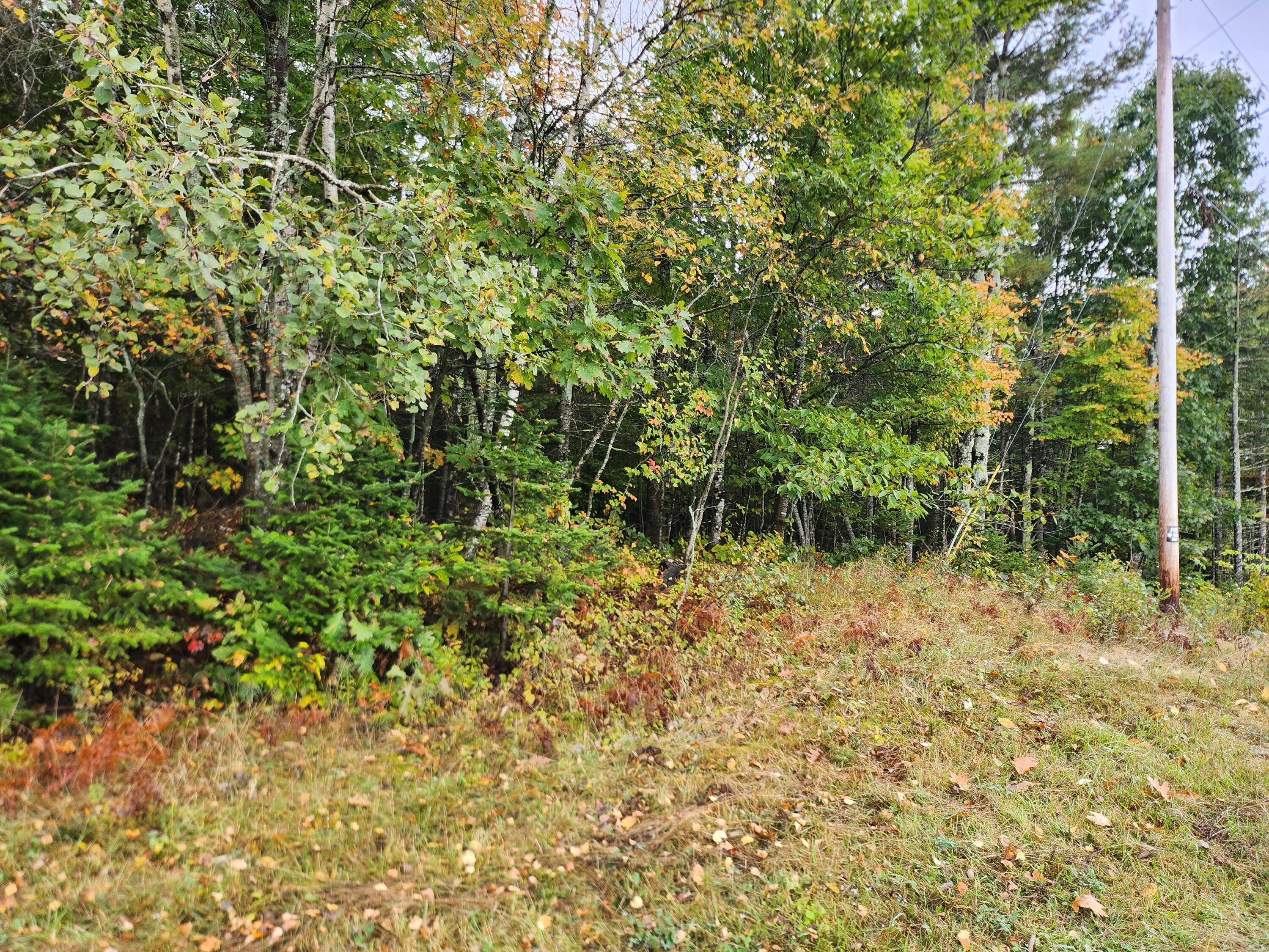 Lot 46 Lane Road Property Photo 3