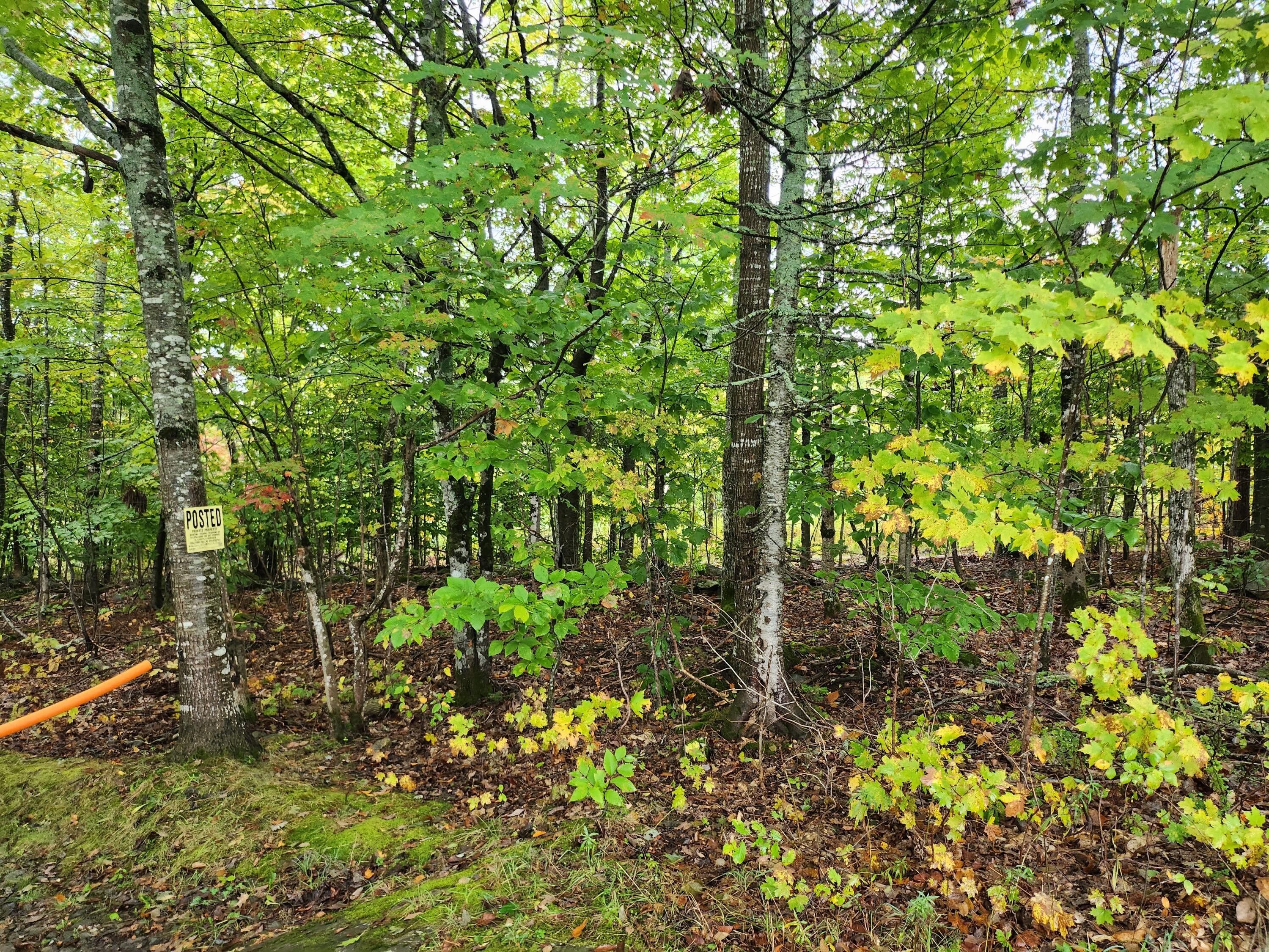 Lot 46 Lane Road Property Photo 4