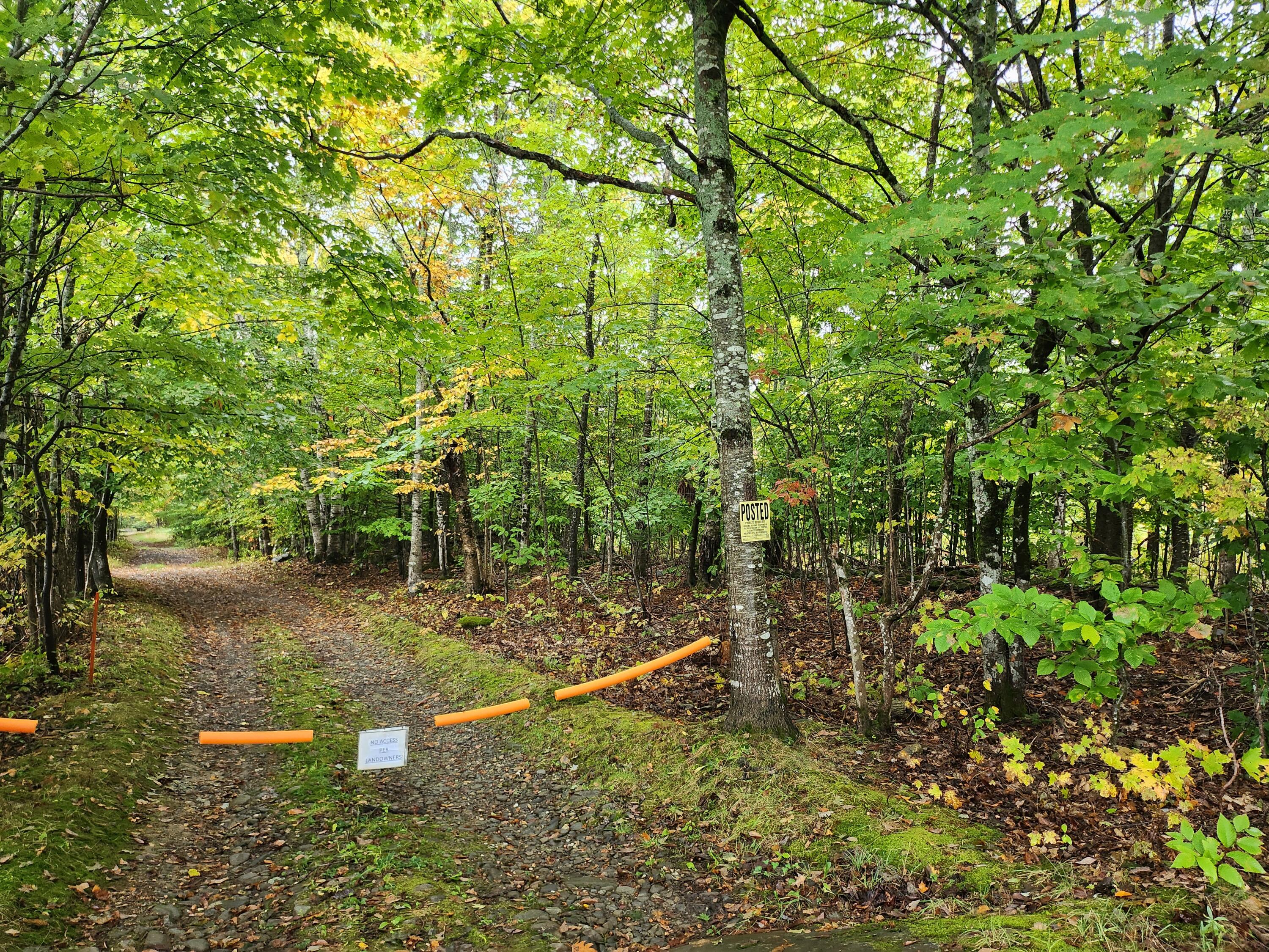 Lot 46 Lane Road Property Photo 5
