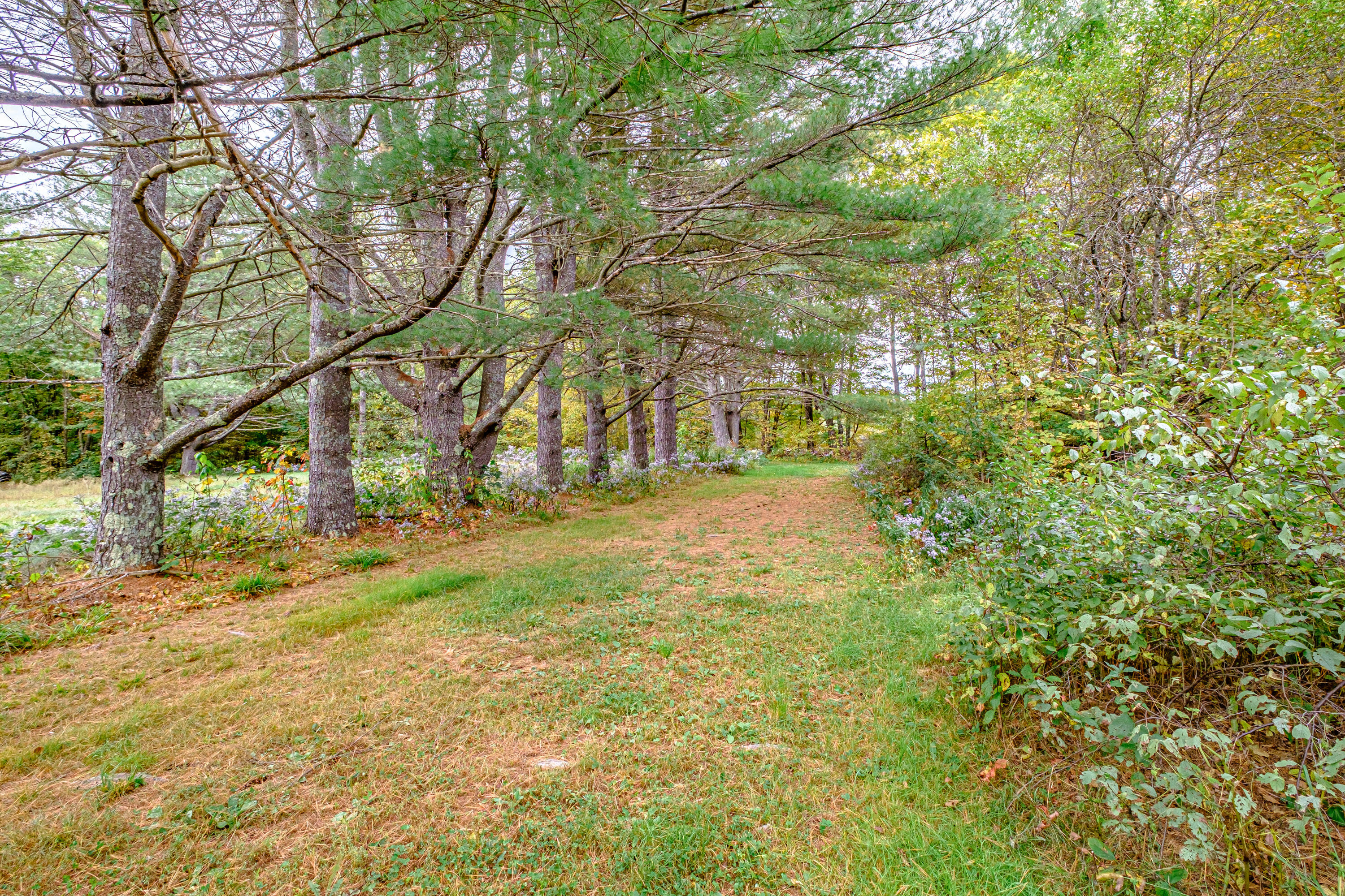 2457 Main Street Property Photo 10