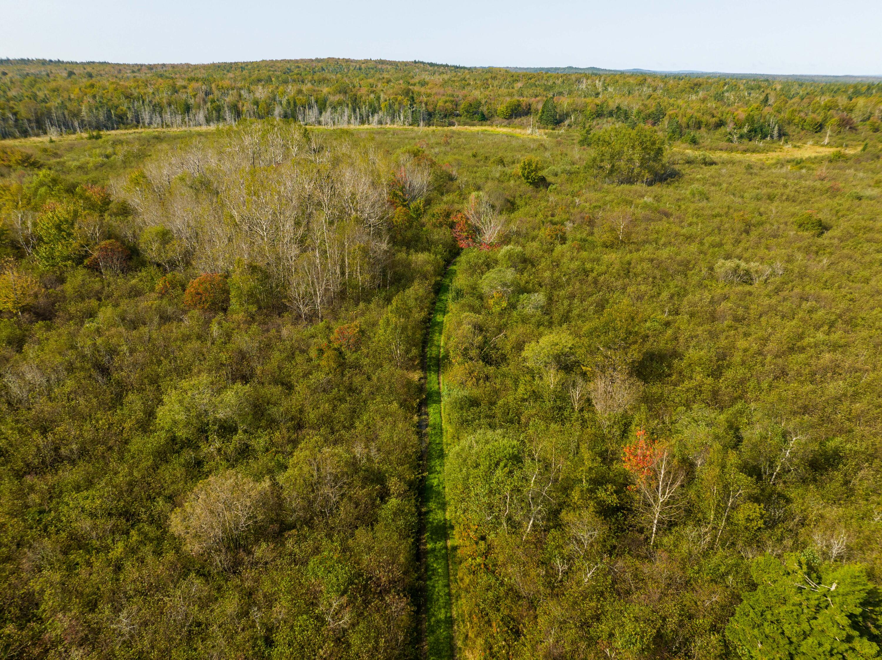 117 Denbow Road Property Photo 3