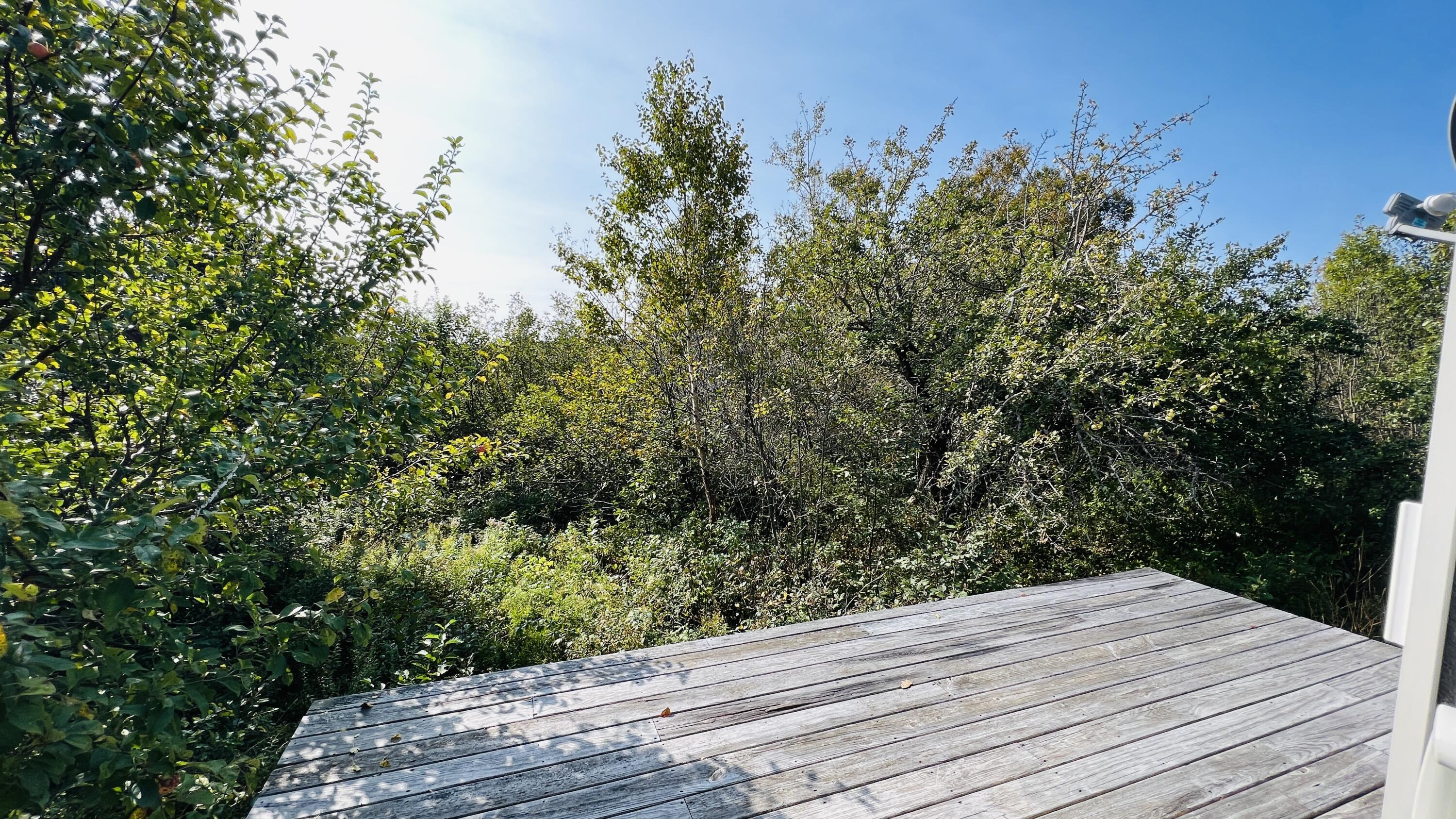 117 Denbow Road Property Photo 10