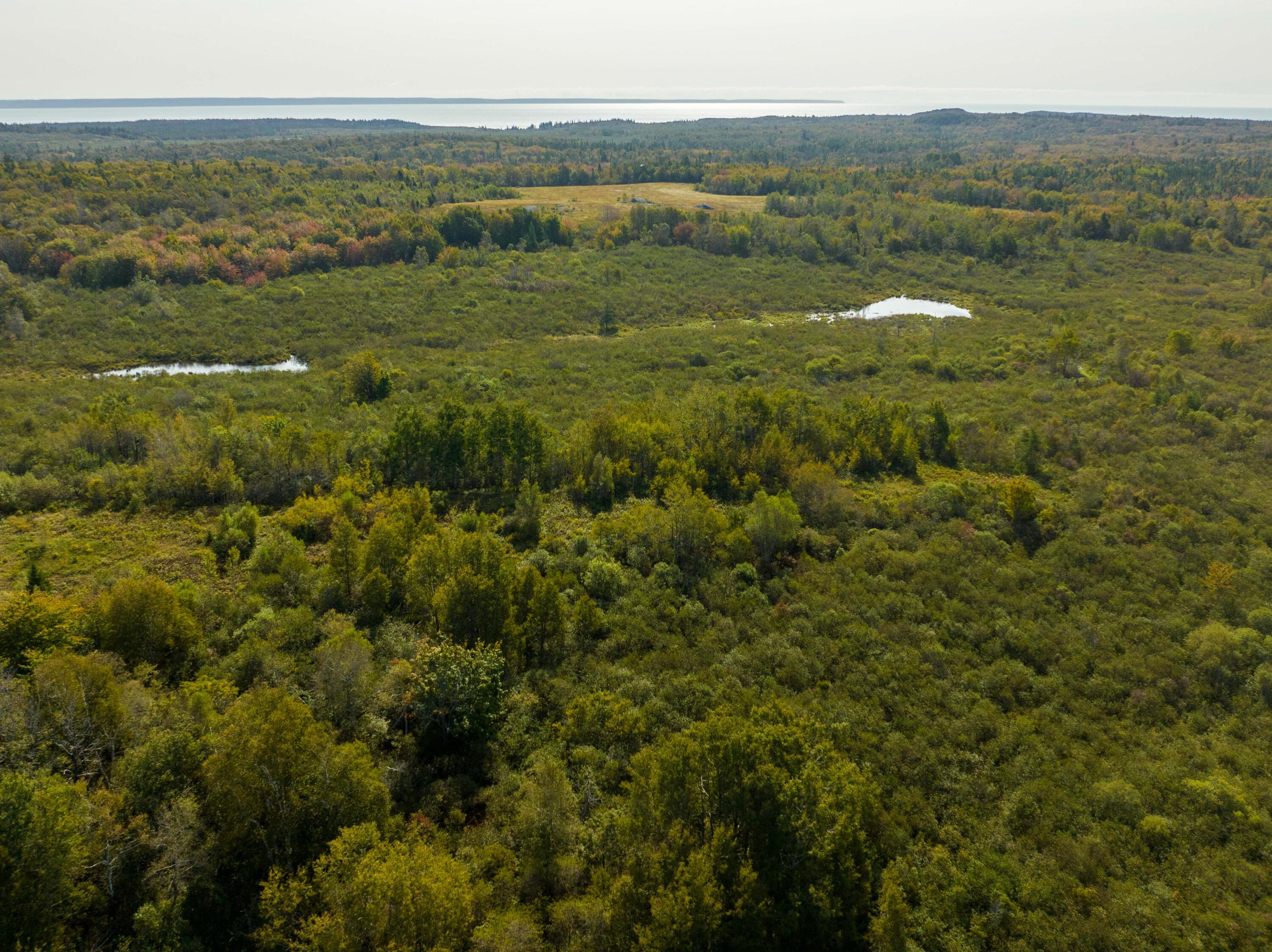 117 Denbow Road Property Photo 35