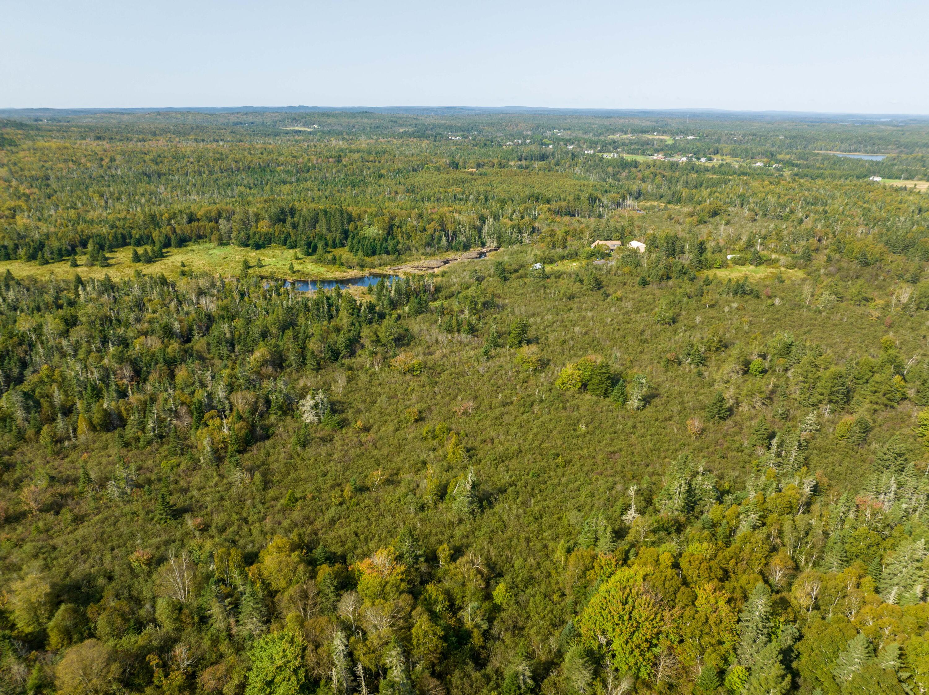 117 Denbow Road Property Photo 36