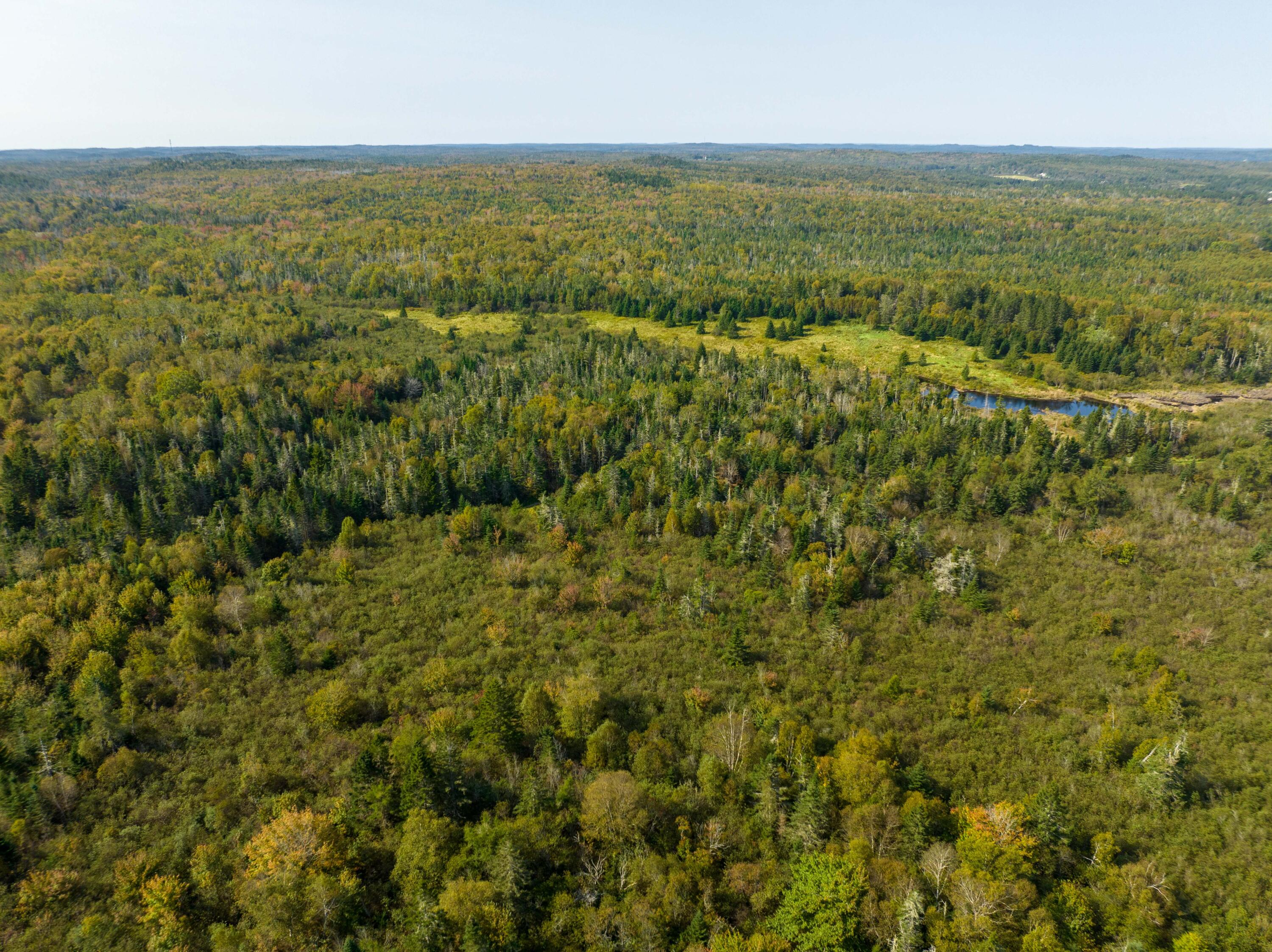 117 Denbow Road Property Photo 37