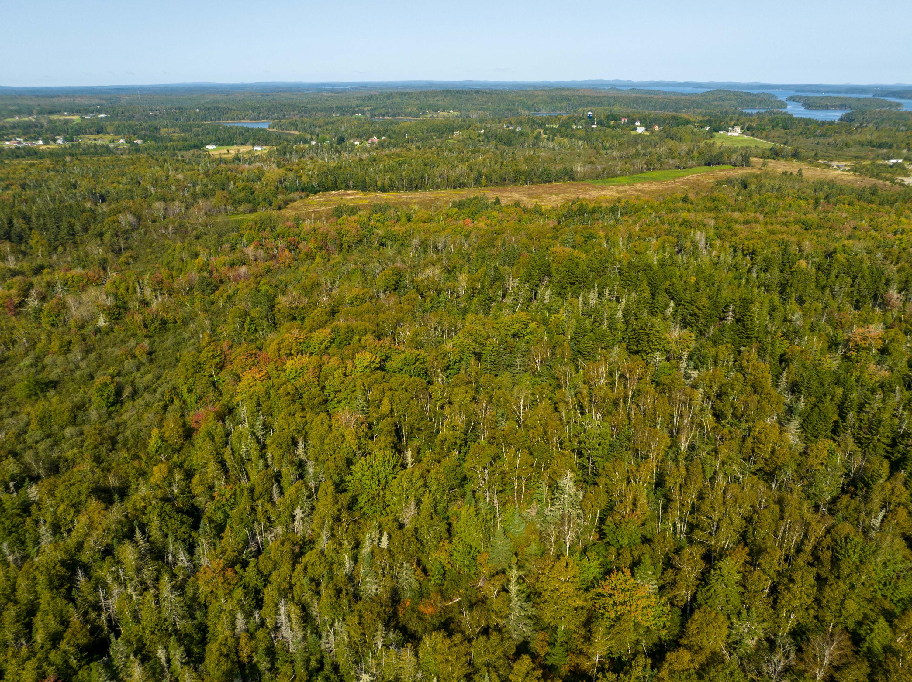 117 Denbow Road Property Photo 38