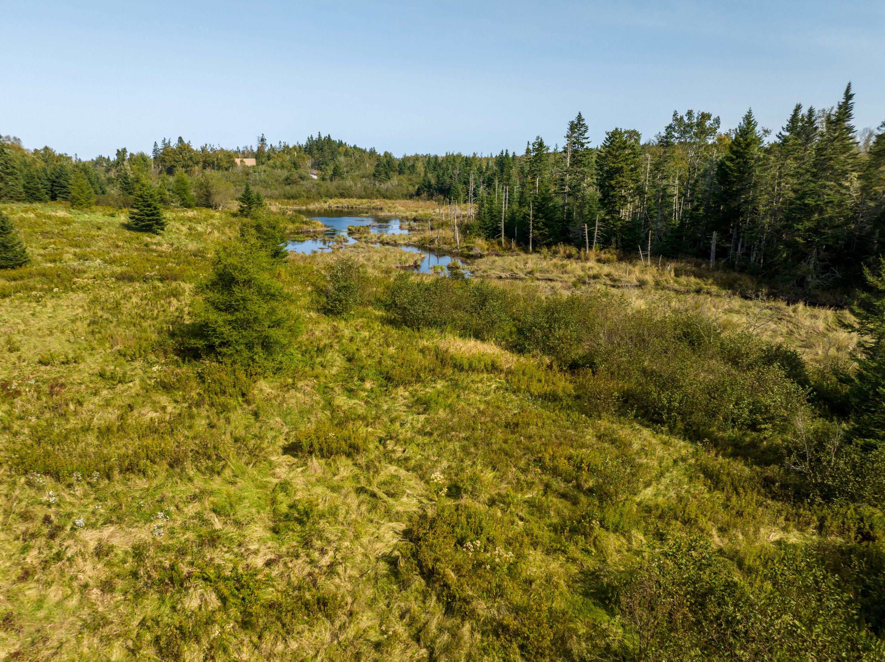 117 Denbow Road Property Photo 46