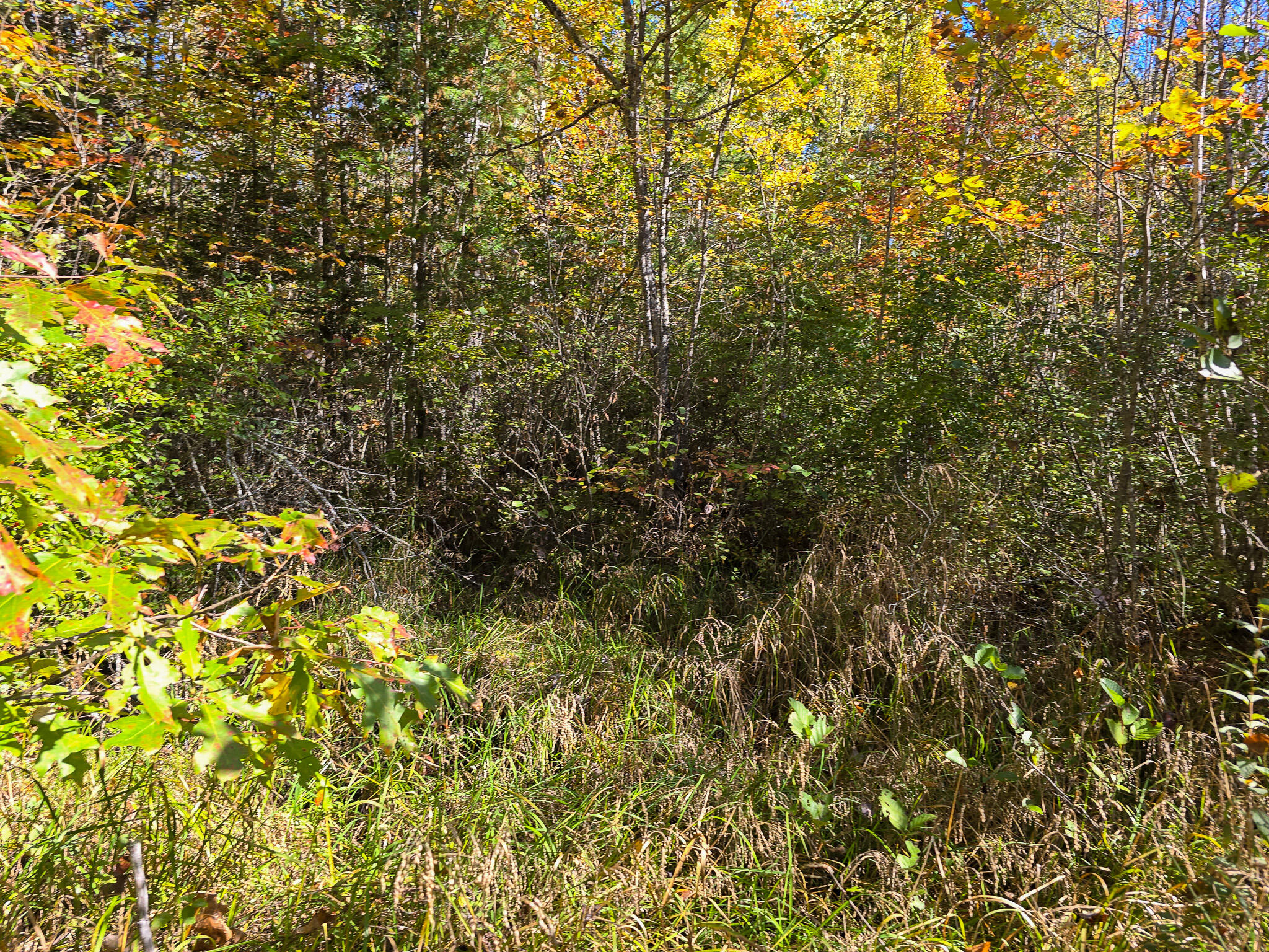 M3l25 Off Rt 2 Property Photo 1