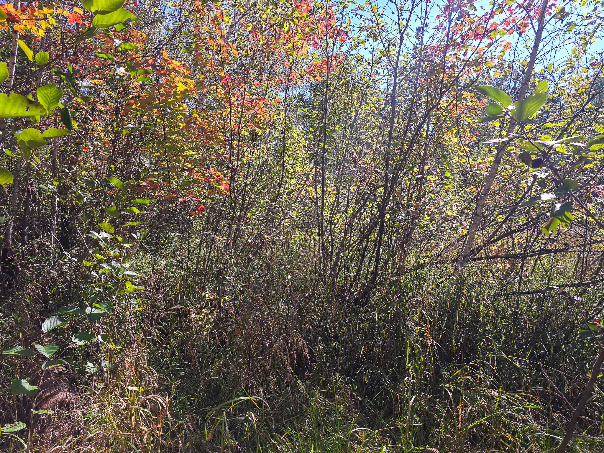 M3l25 Off Rt 2 Property Photo 2