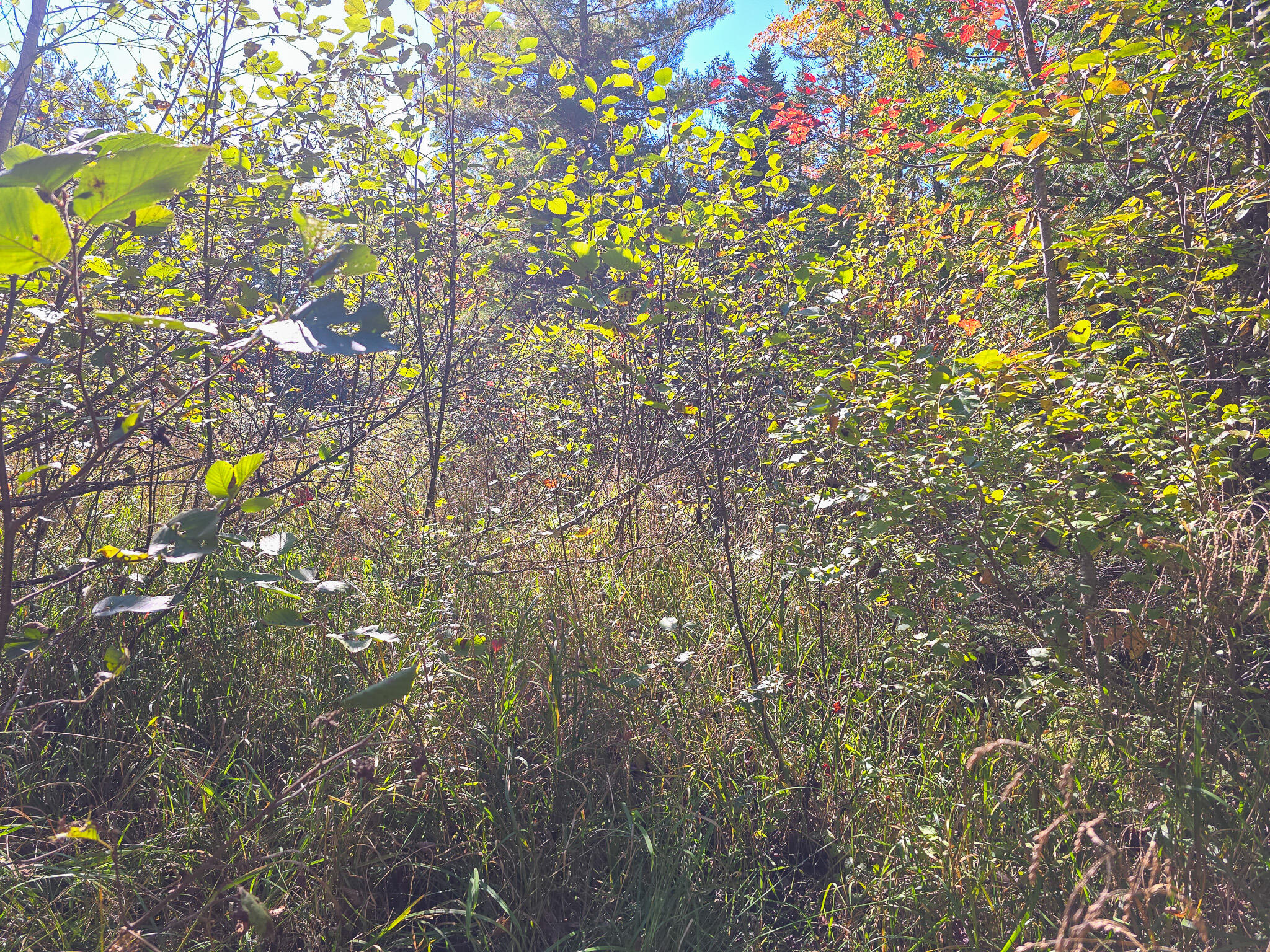M3l25 Off Rt 2 Property Photo 3