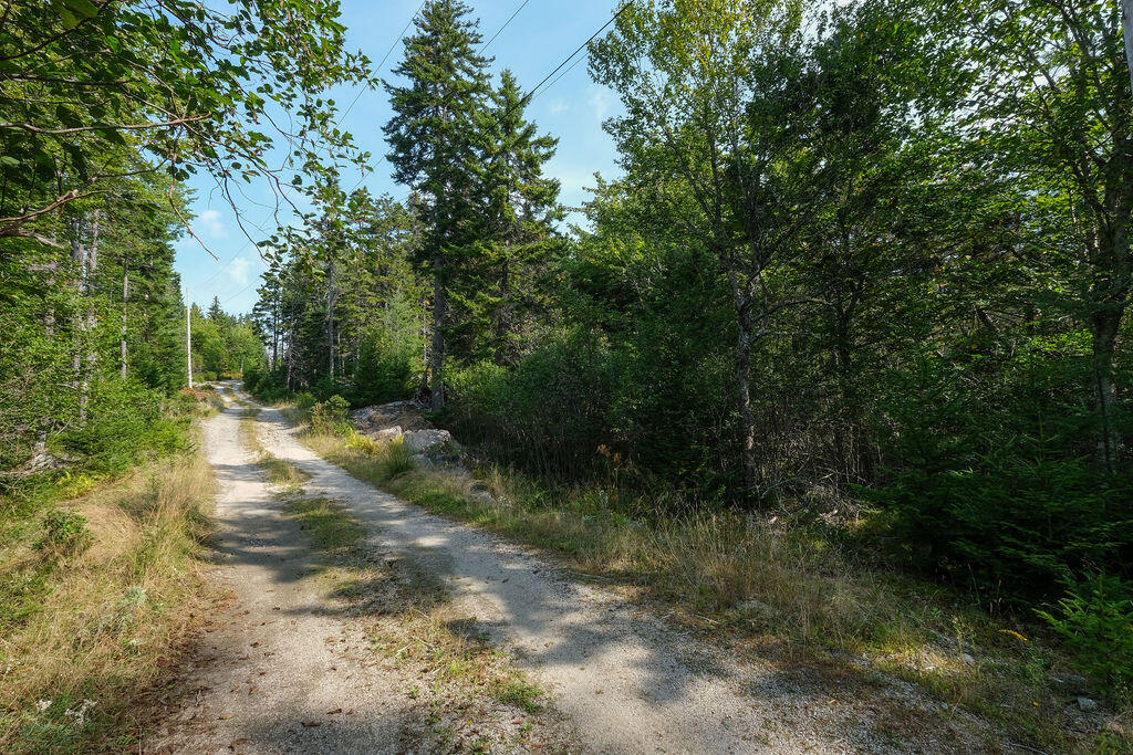 12-2 S S Burnt Cove Road Property Photo 10