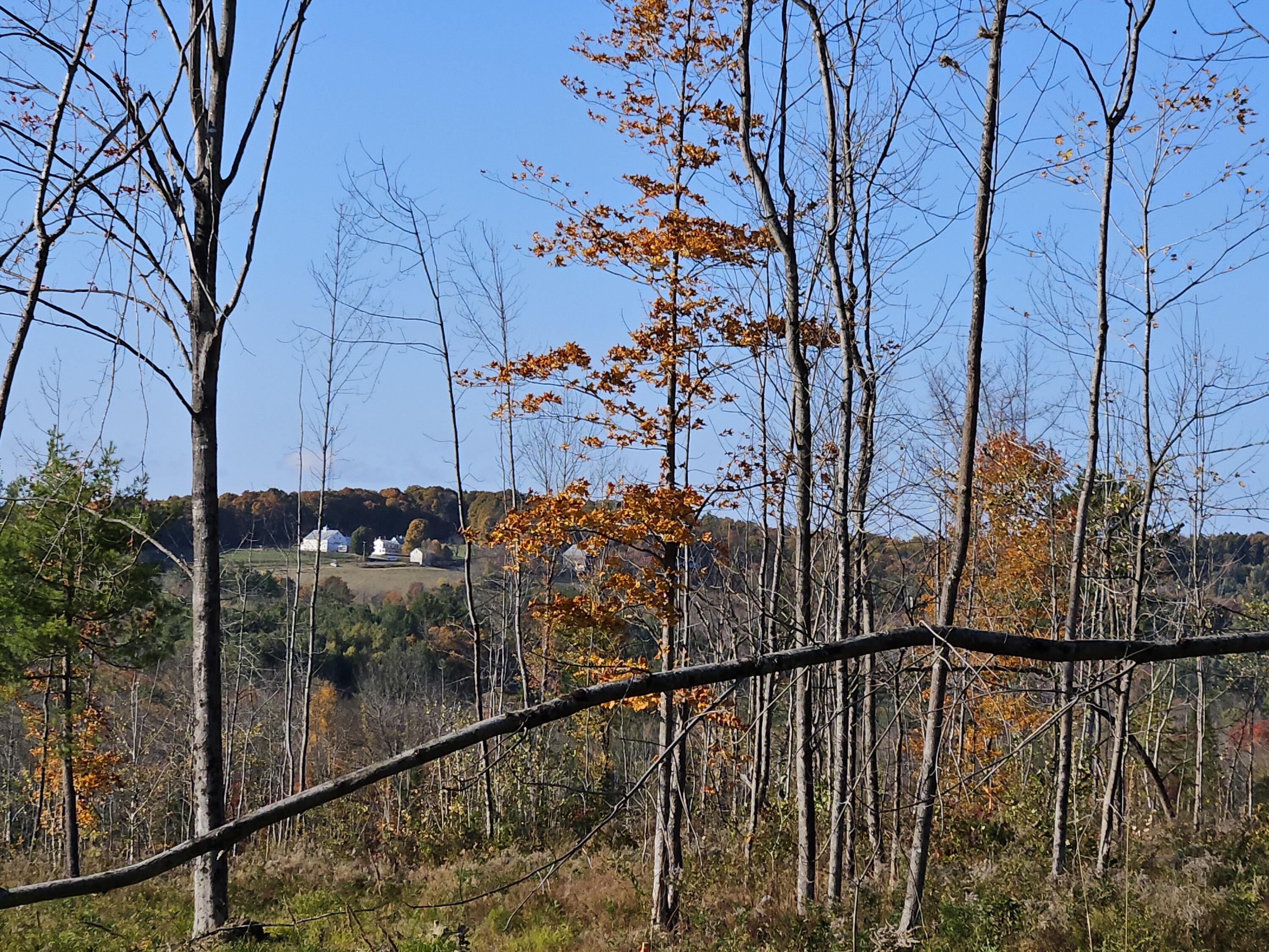 R11-033 Bailey Hill Road Property Photo 2