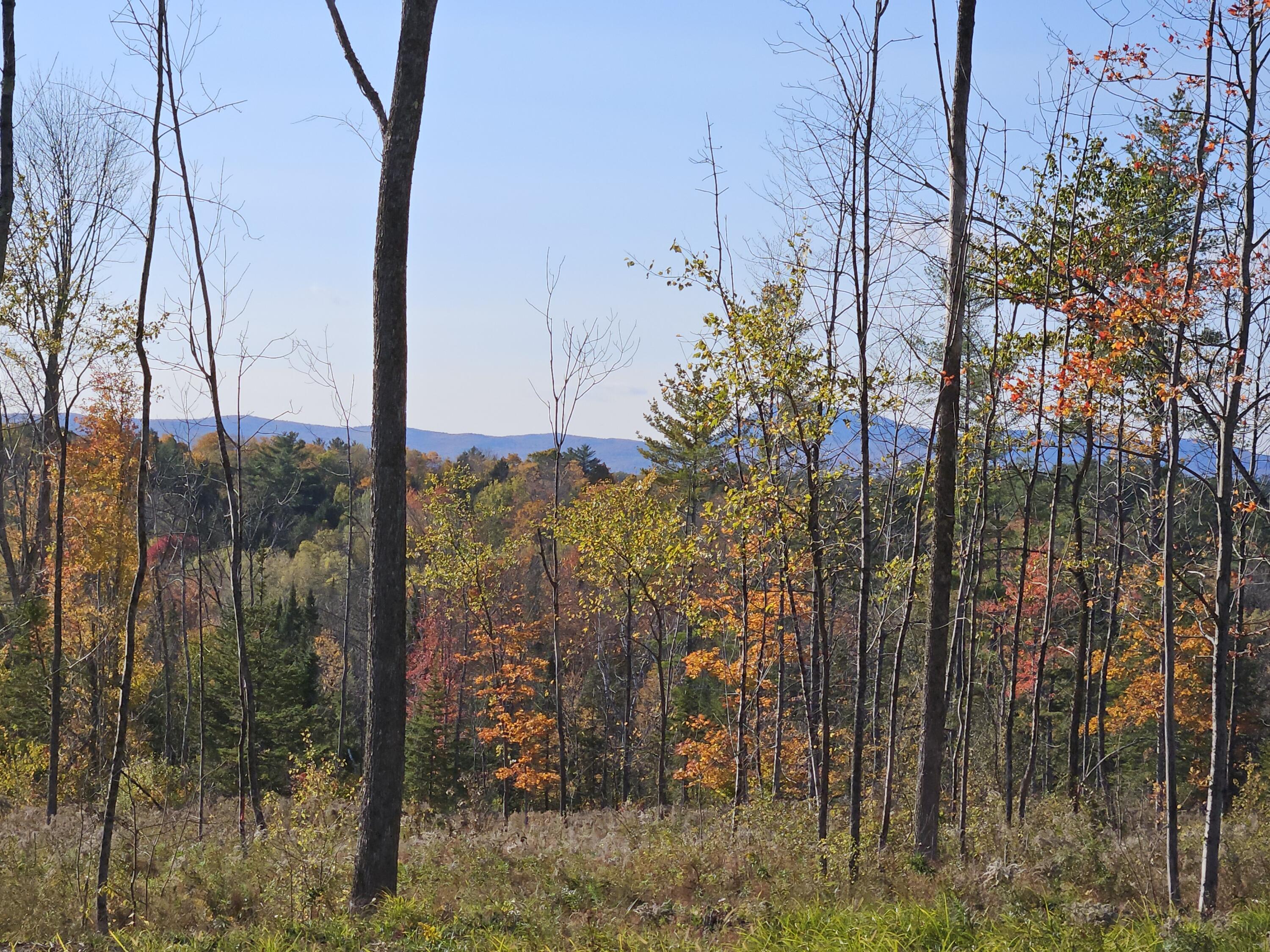 R11-033 Bailey Hill Road Property Photo 3