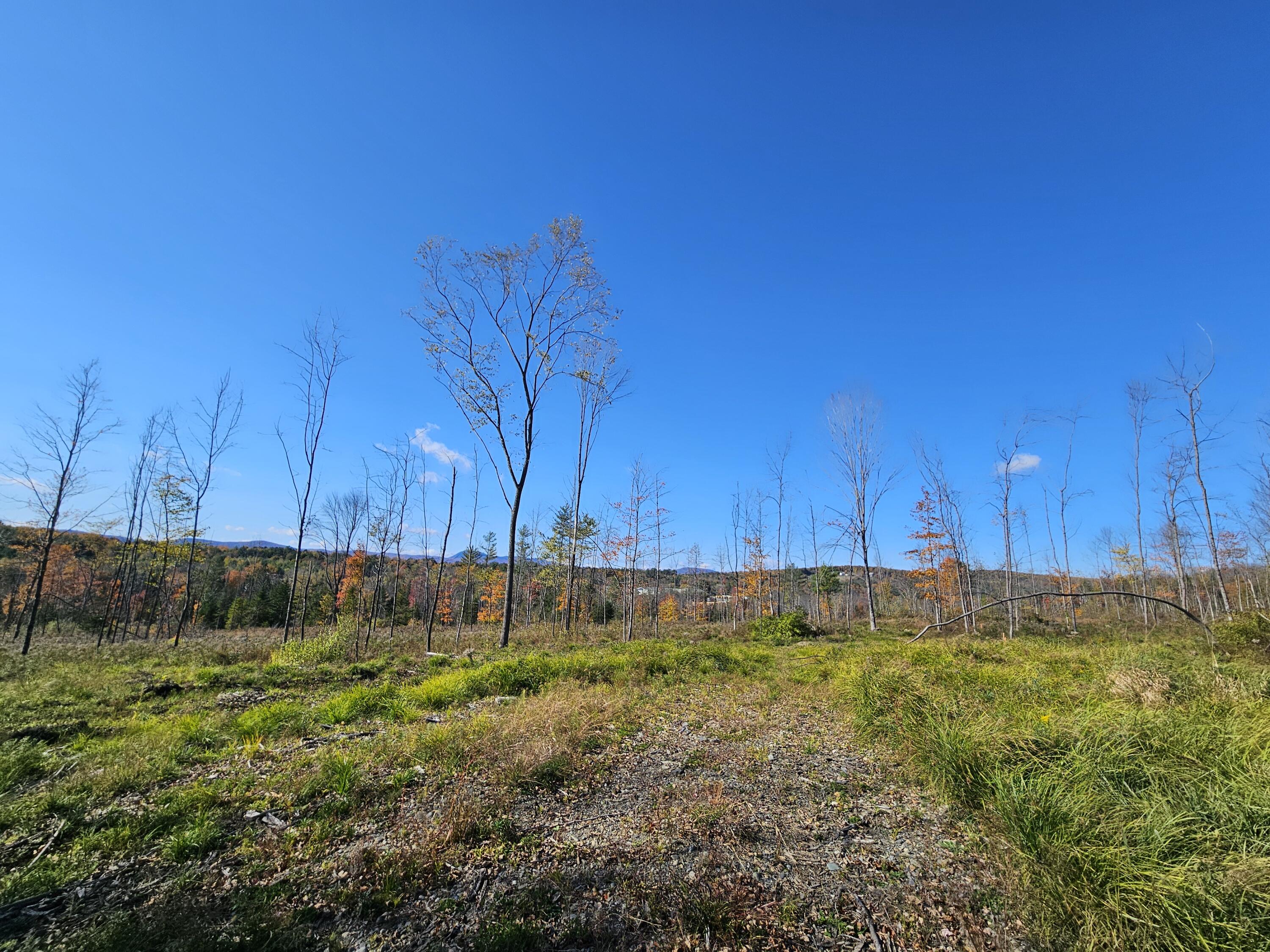 R11-033 Bailey Hill Road Property Photo 5
