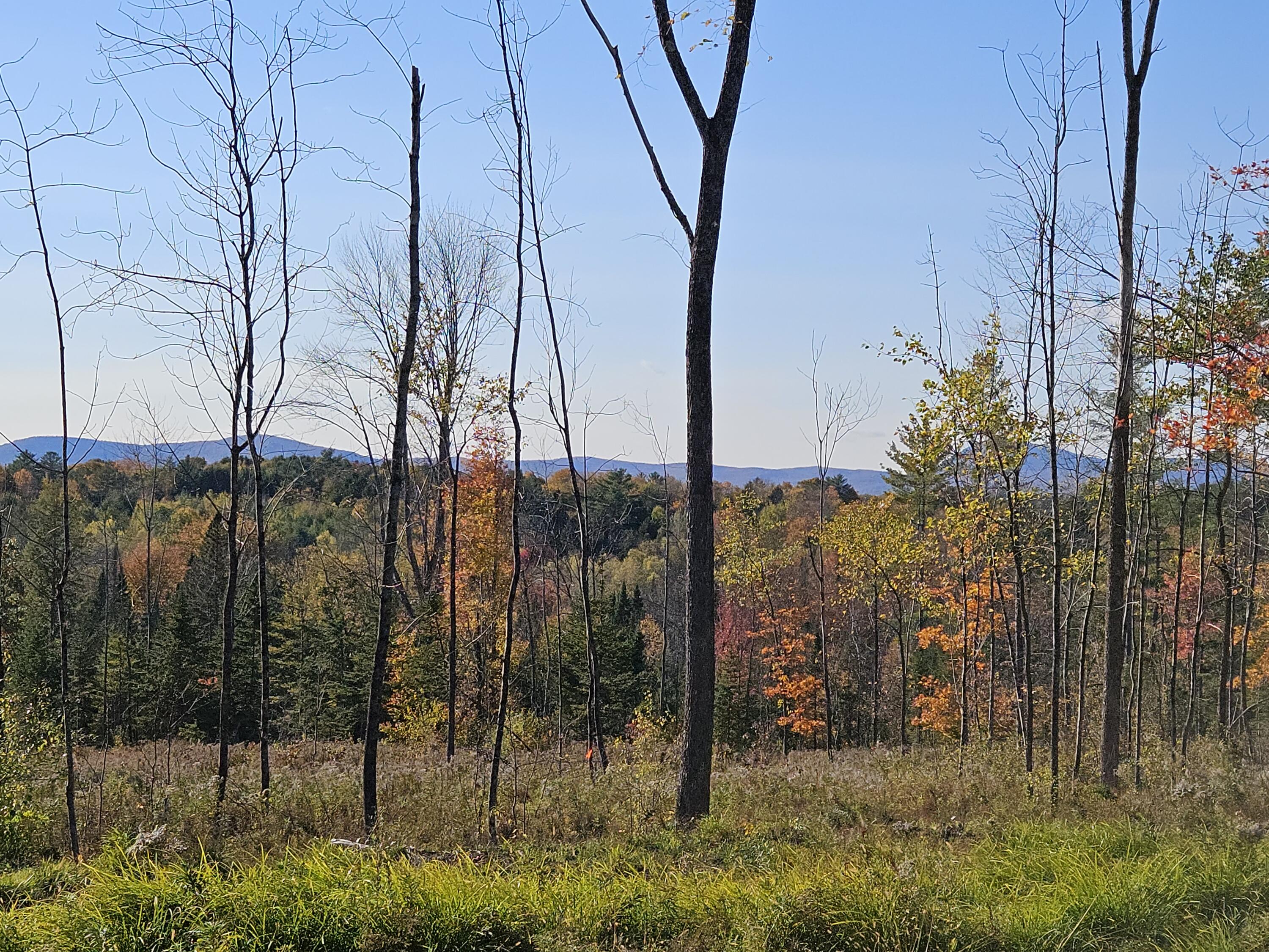 R11-033 Bailey Hill Road Property Photo 7