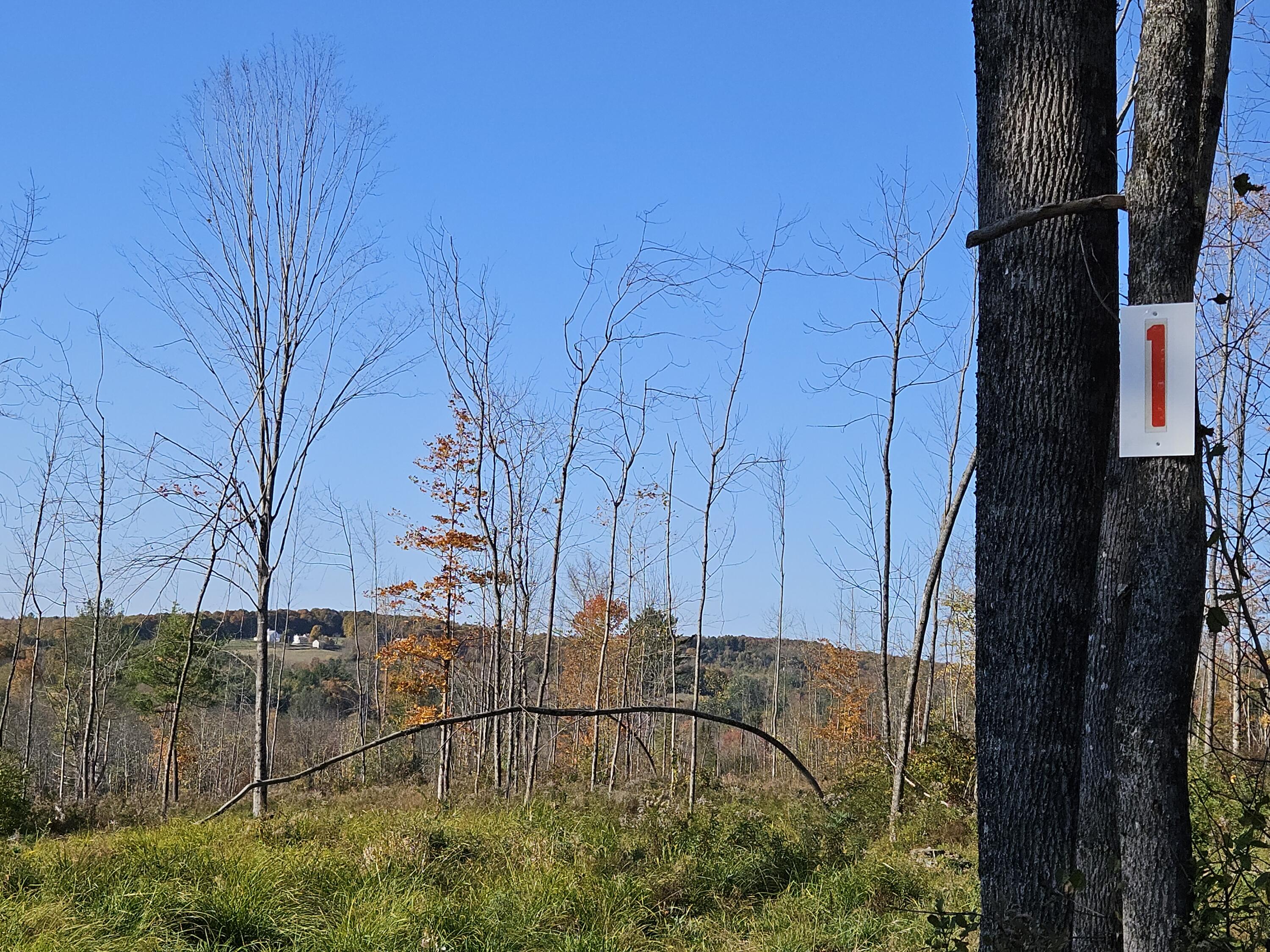 R11-033 Bailey Hill Road Property Photo 8