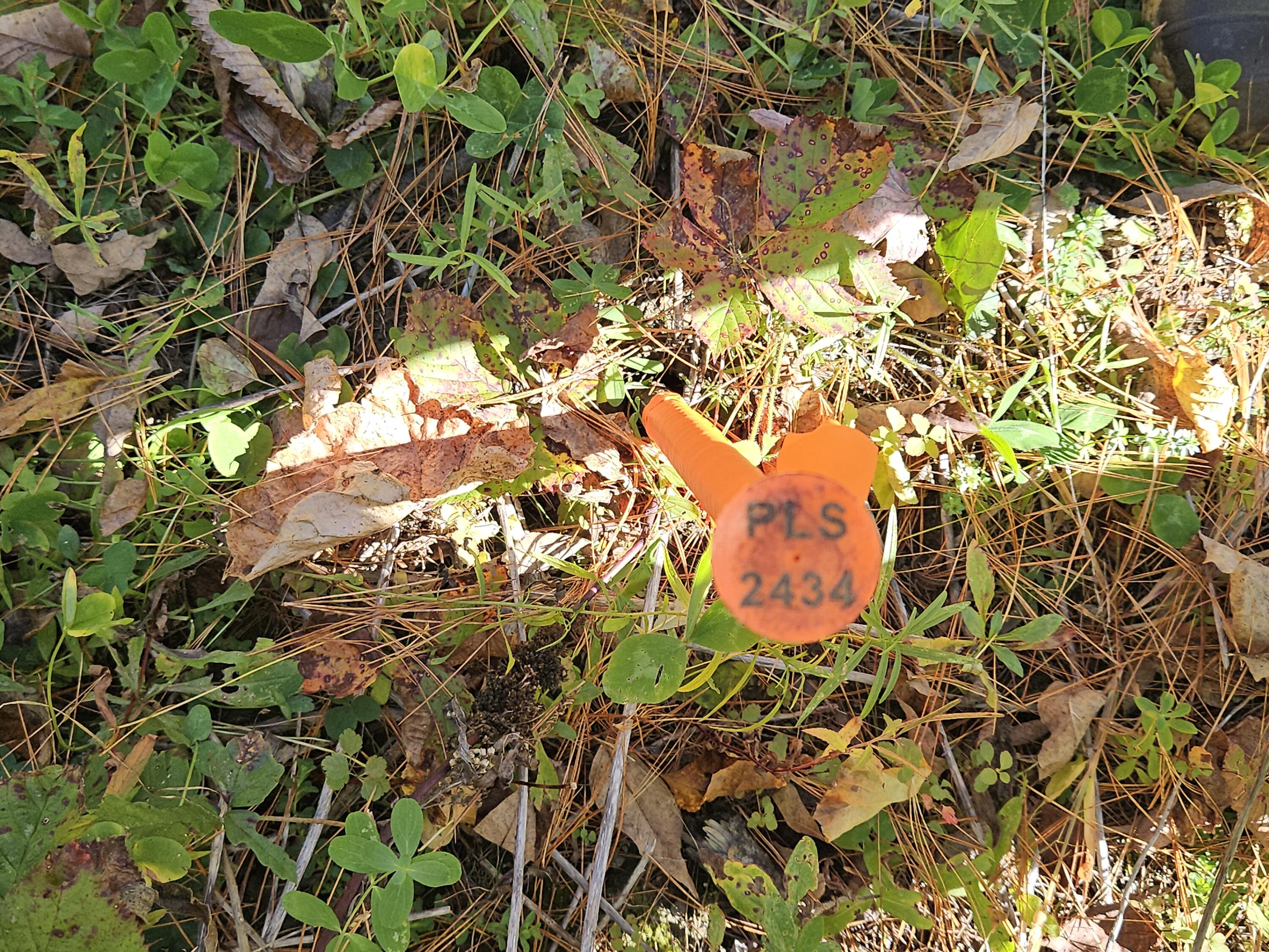 R11-033 Bailey Hill Road Property Photo 9