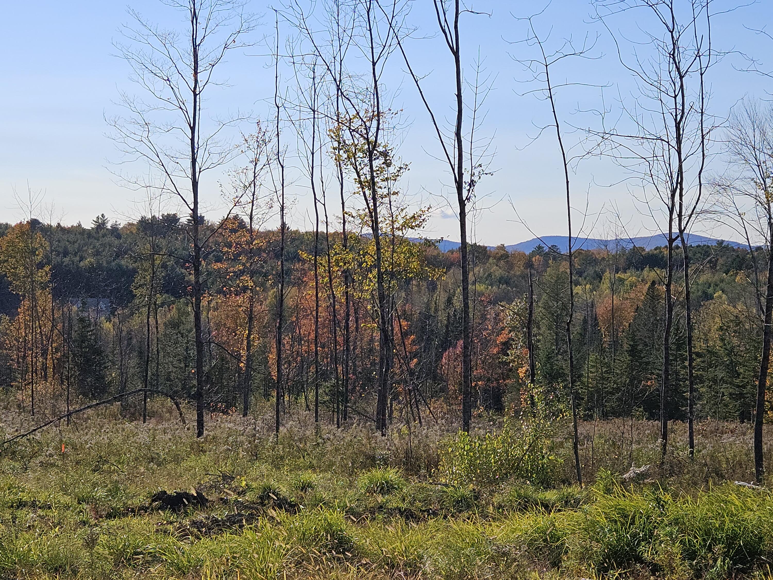 R11-033-4 Bailey Hill Road Property Photo 1