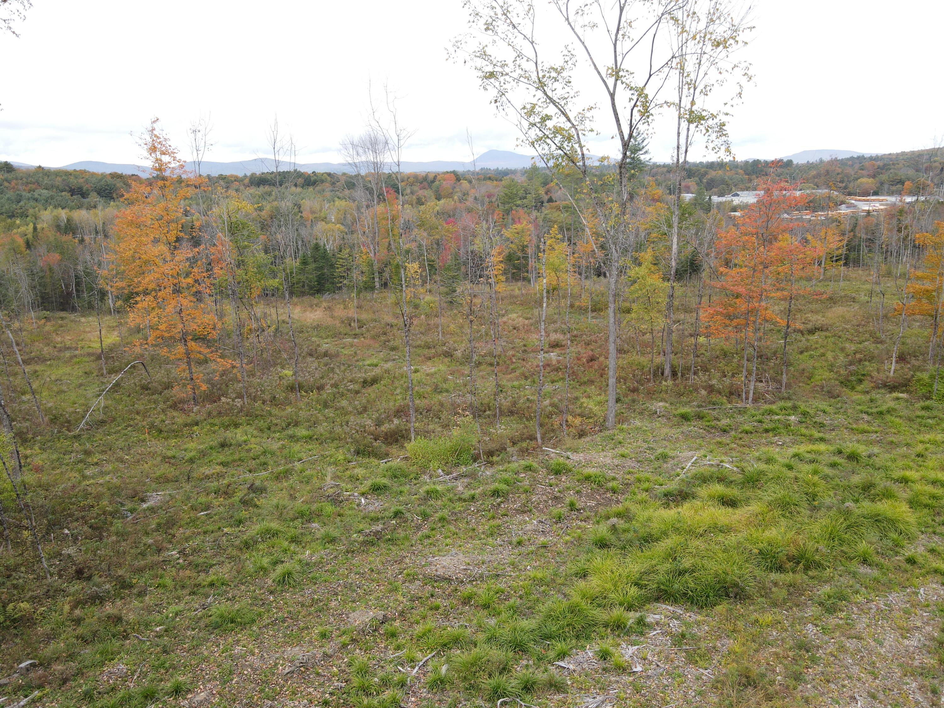 R11-033-4 Bailey Hill Road Property Photo 7