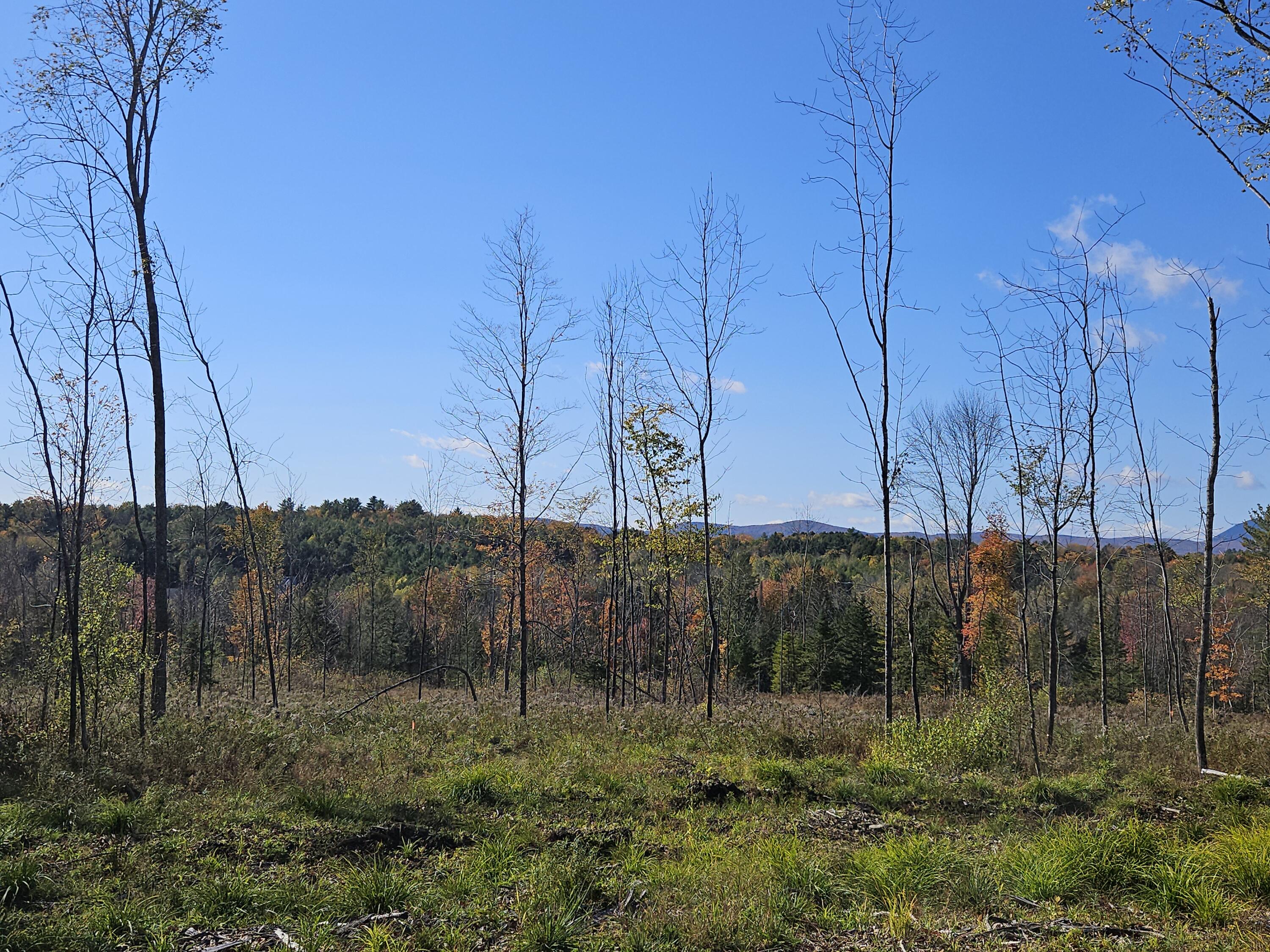 R11-033-5 Bailey Hill Road Property Photo 1