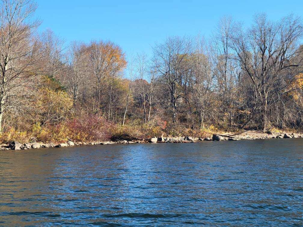 457 N Searsport Road Property Photo 9