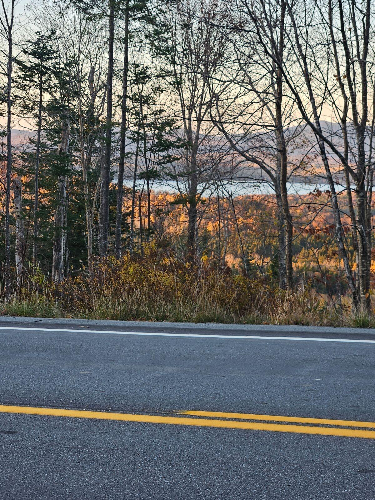 Lot 26 A-1 Route 17 Property Photo 6
