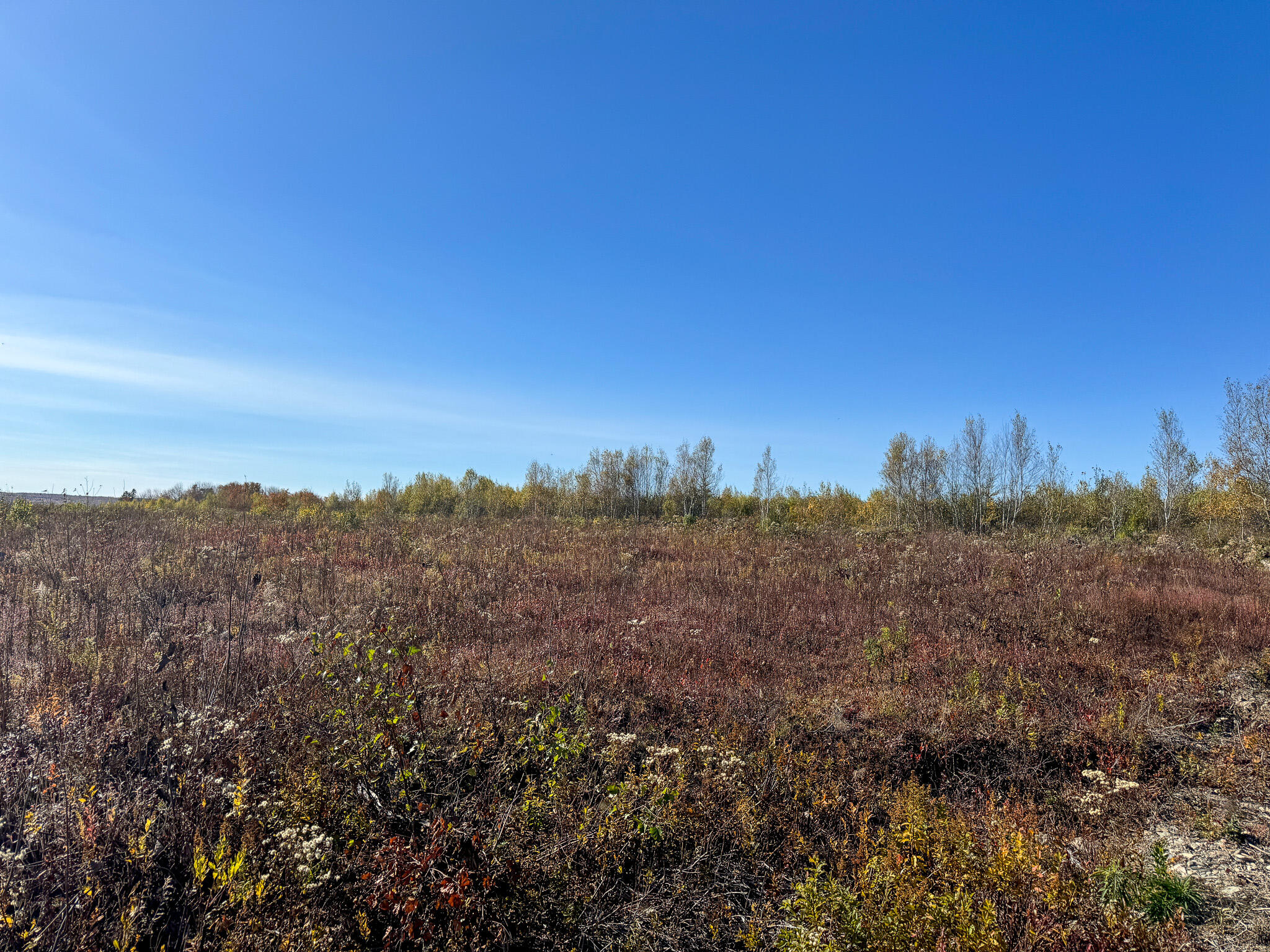 M4 L25-1 Off Smith Ridge Road Property Photo 17