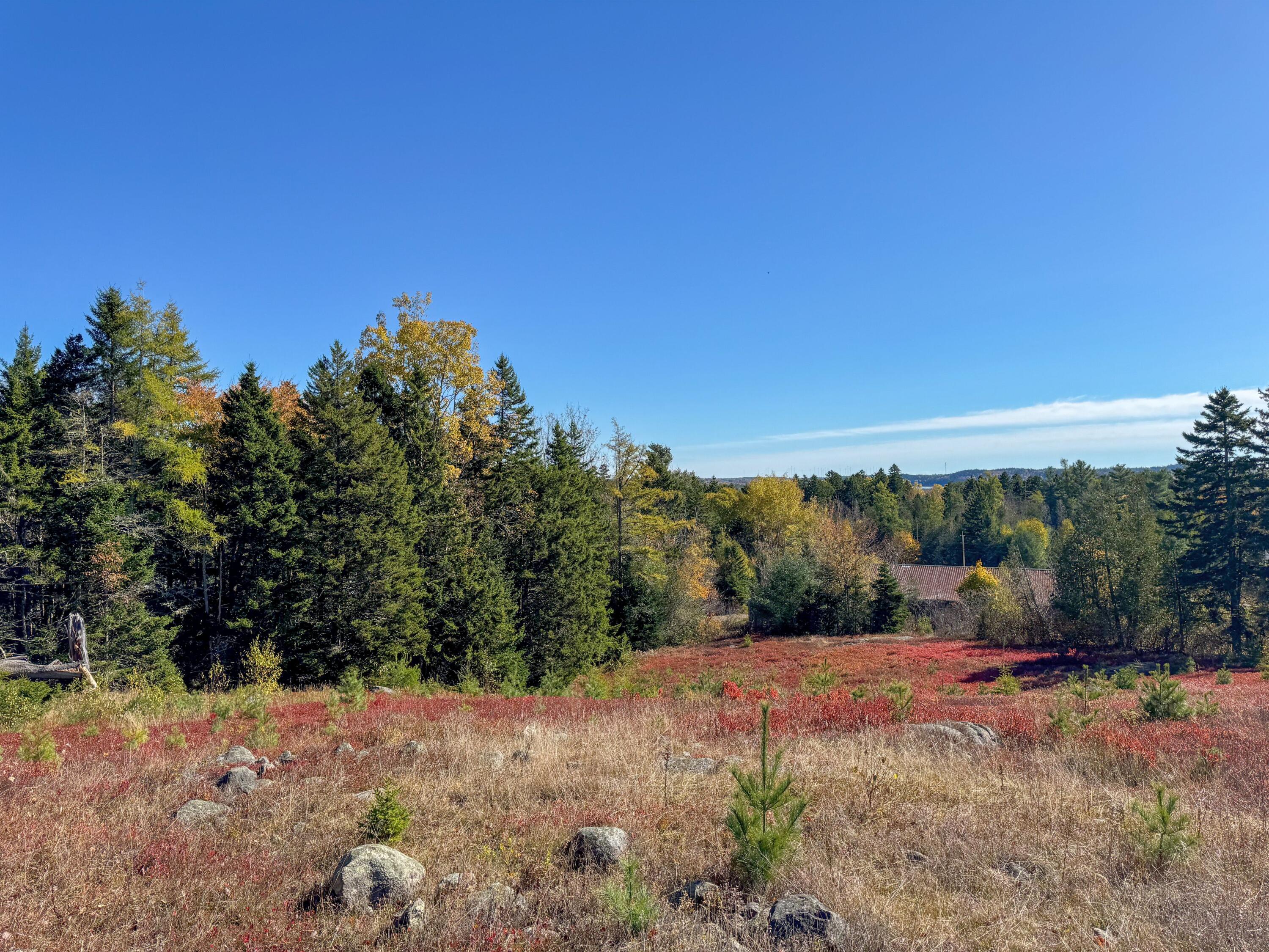 Lot 48b Getchell Lane Property Photo 32