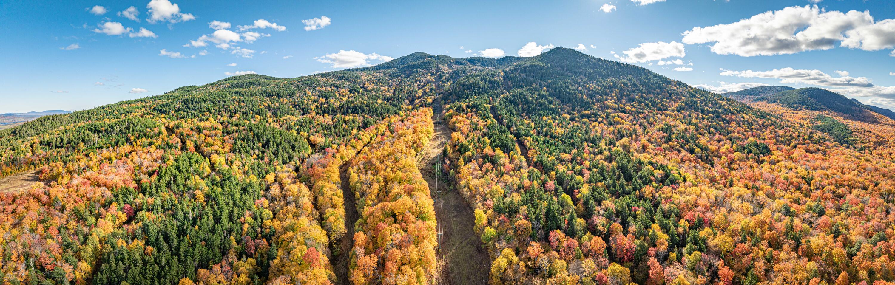 447 Ski Resort Road Property Photo 11