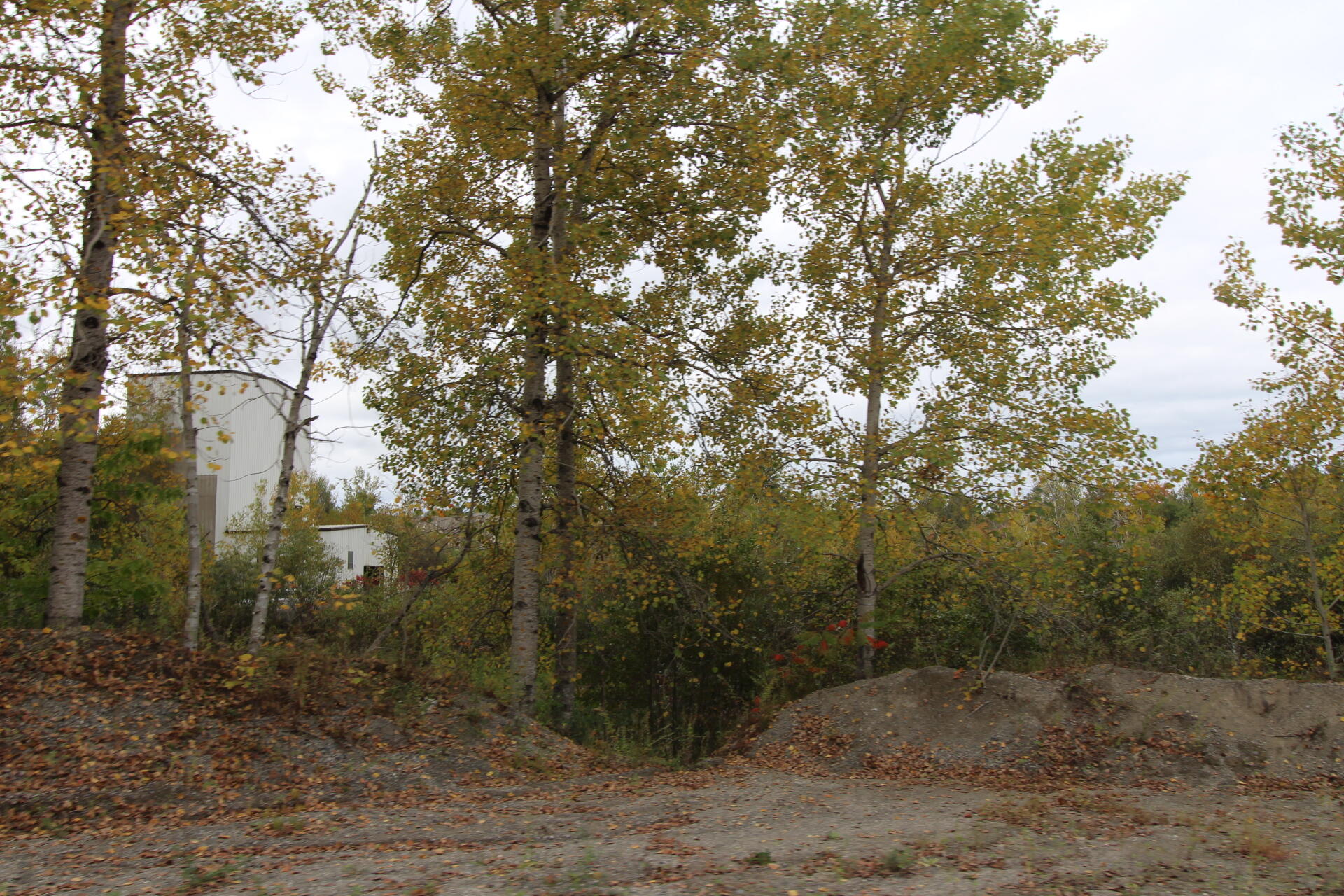 185 Belmont Avenue Property Photo 32