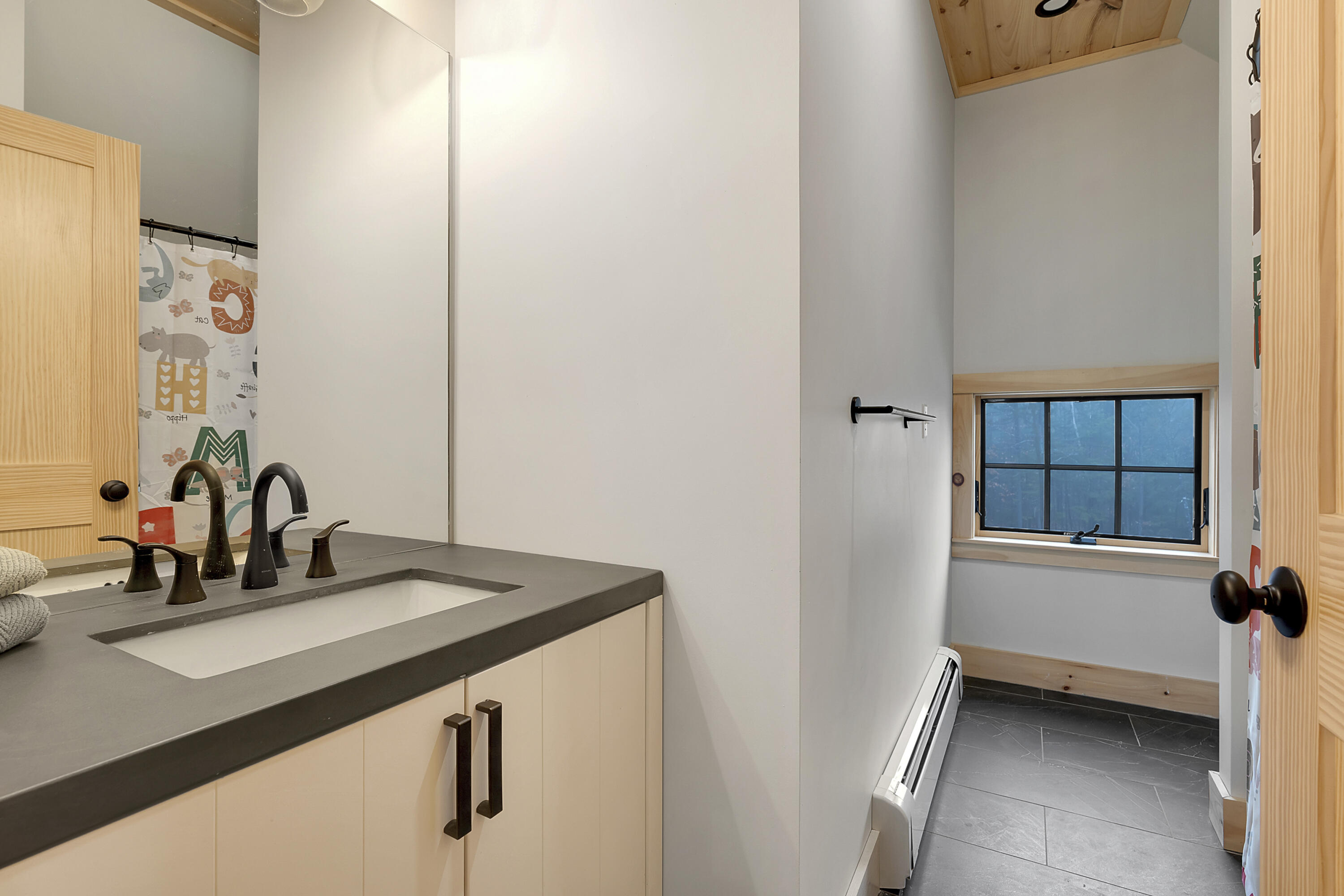 100 Morganite Way Property Photo 38
