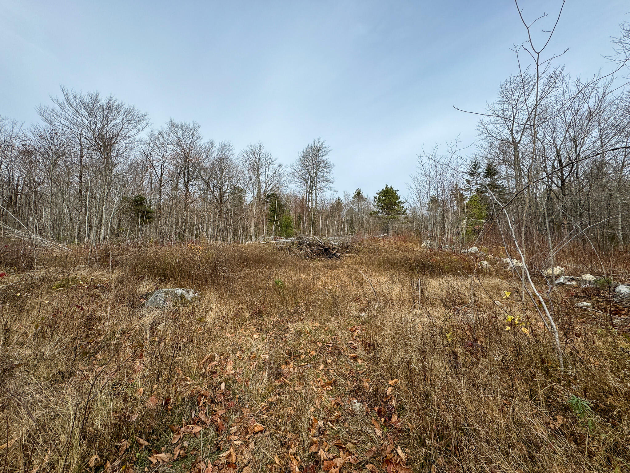 6 Johnson Kneel Road Property Photo 15