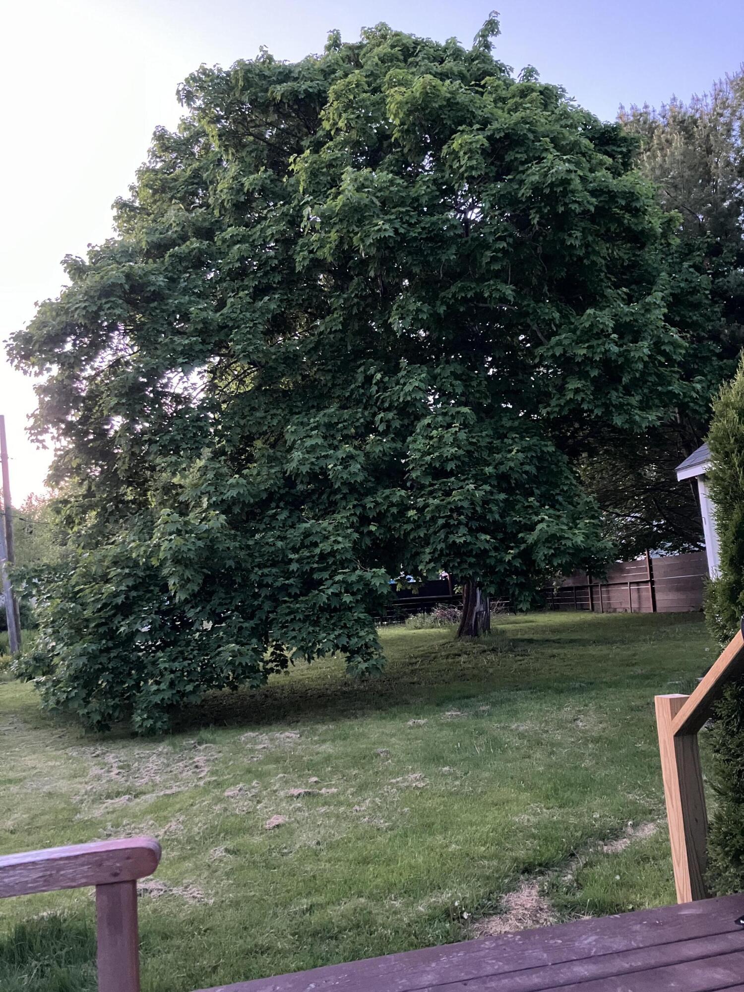 18 Simmons Street Property Photo 70